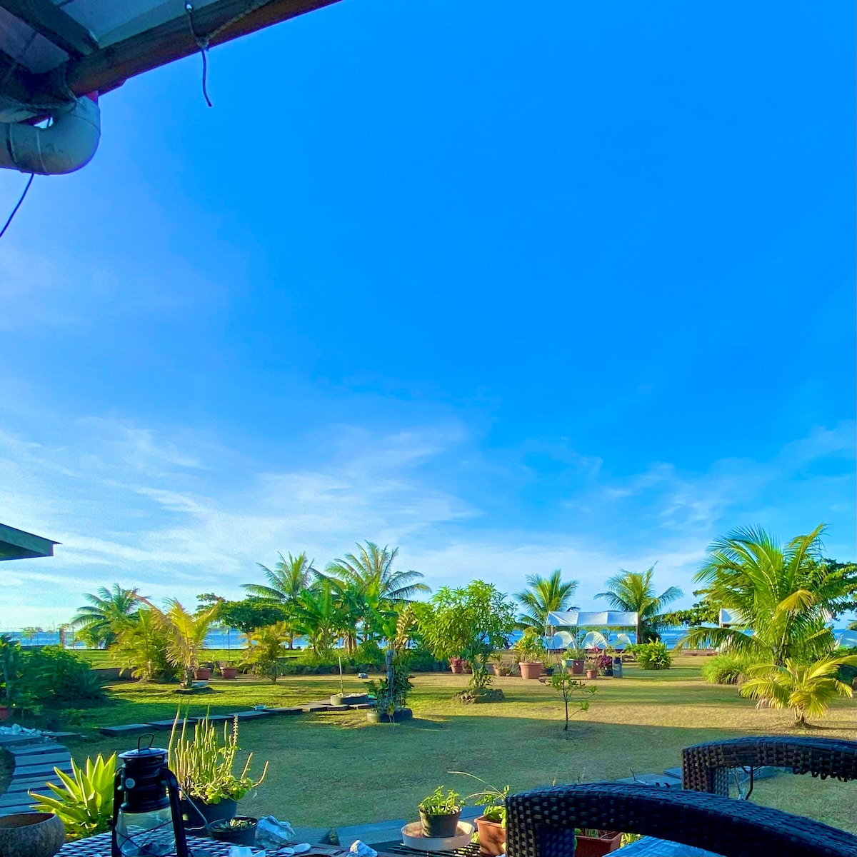 A serene outdoor space showcases a well-maintained garden with a variety of palm trees and fruit trees. The clear blue sky enhances the tranquil atmosphere, while the surrounding greenery offers a peaceful retreat. The area is designed for relaxation, with comfortable seating visible.