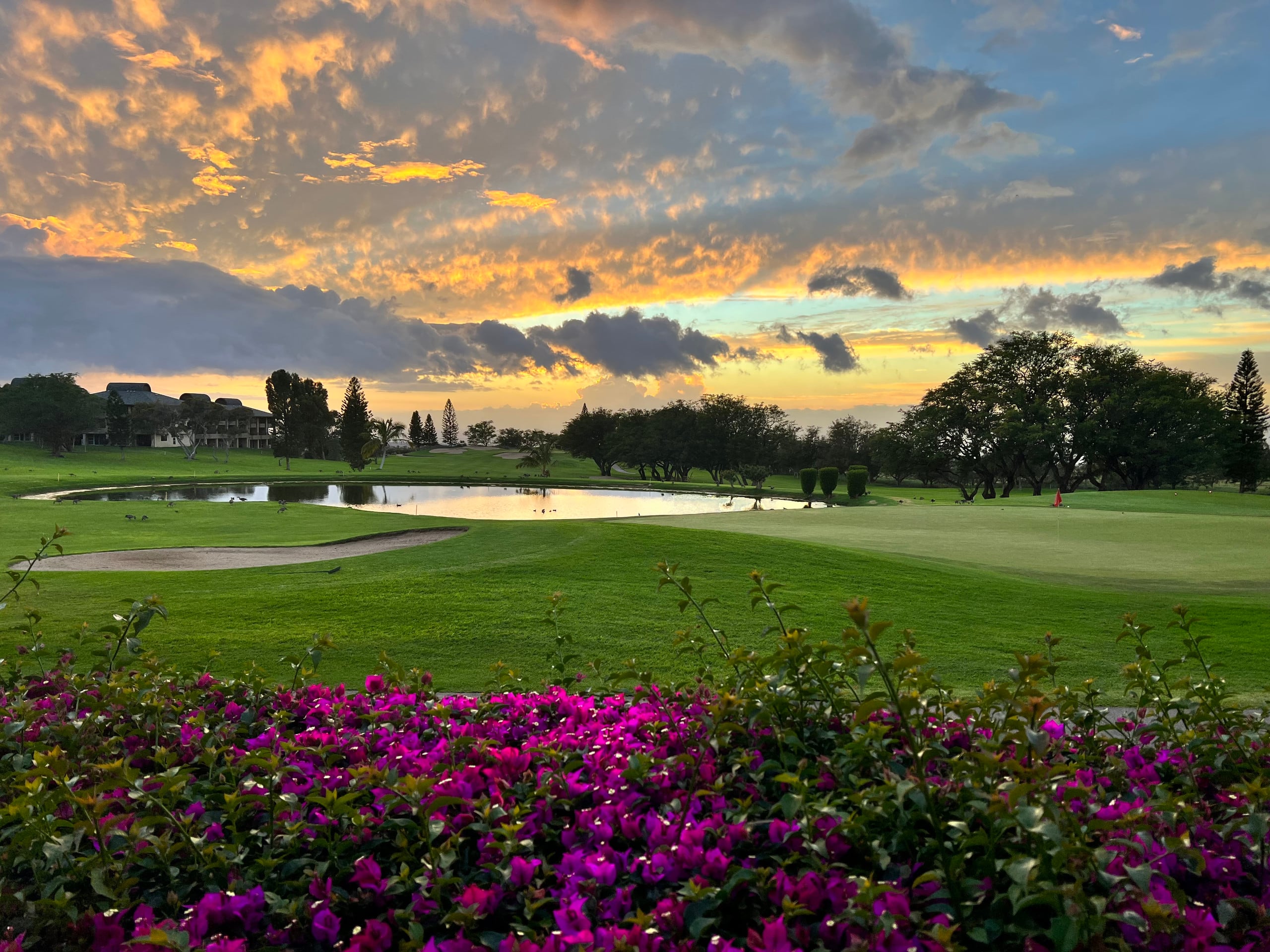 Waikoloa Gem: Views, Beach Gear, Pickleball + Golf - Photo 24