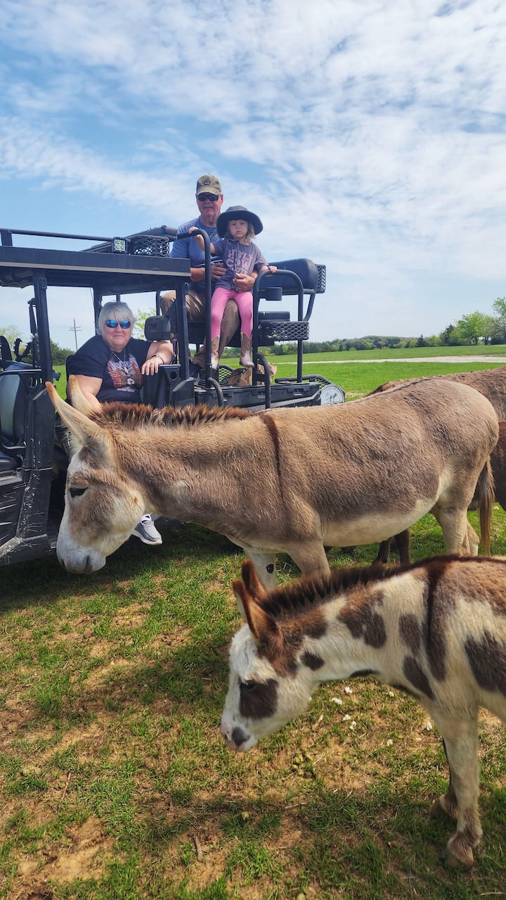 Big Red Barn & Bed at Moo & Bray Farm - Farm stays for Rent in Whitesboro,  Texas, United States - Airbnb