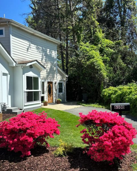 Stylish 2BR Near NIH | Cozy, Quiet, Walkable Stay