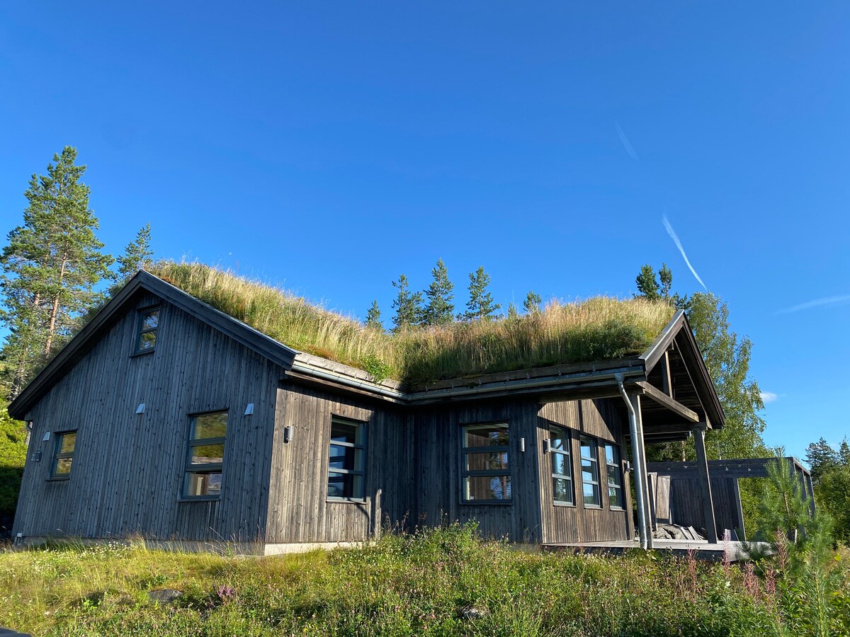 A modern cabin is displayed, featuring a green grass roof that blends with the surrounding landscape. Large windows reflect the natural light, while the wooden exterior complements the tranquil setting adorned with trees and wildflowers.