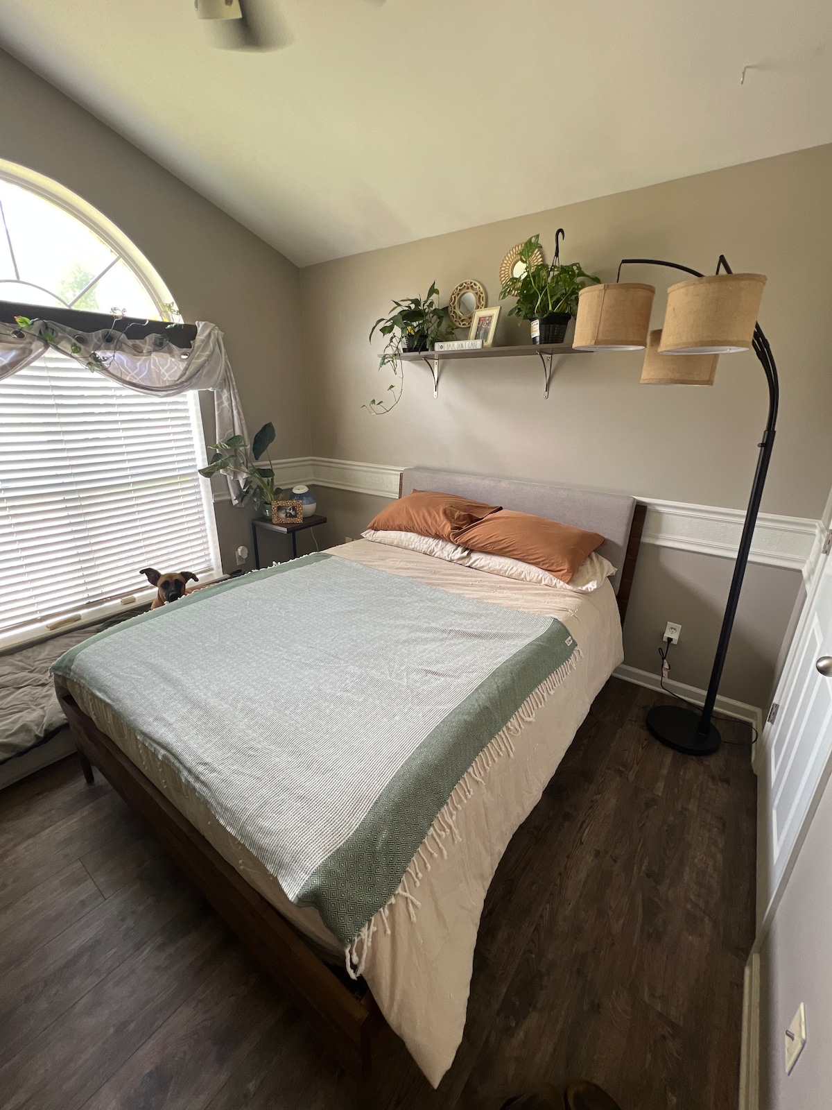 A well-appointed sleeping area is visible, featuring a bed with a light blanket and decorative pillows. Shelves with plants are mounted above the bed, and a floor lamp stands nearby. Natural light fills the room, highlighting the wooden flooring.