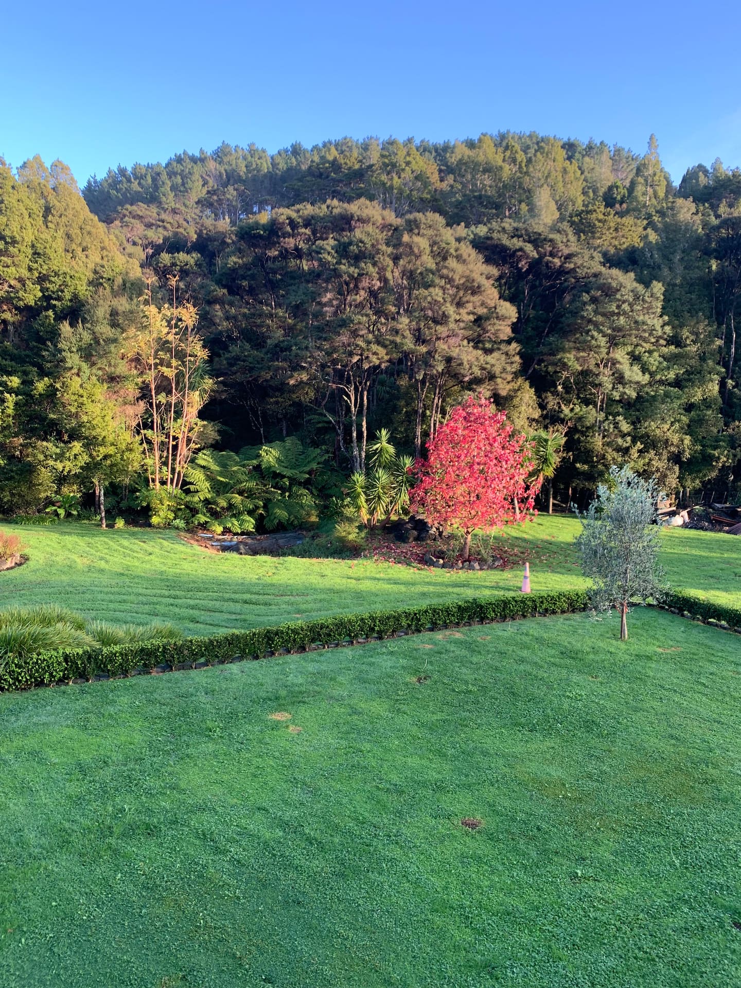 Family Getaway Plus… 5