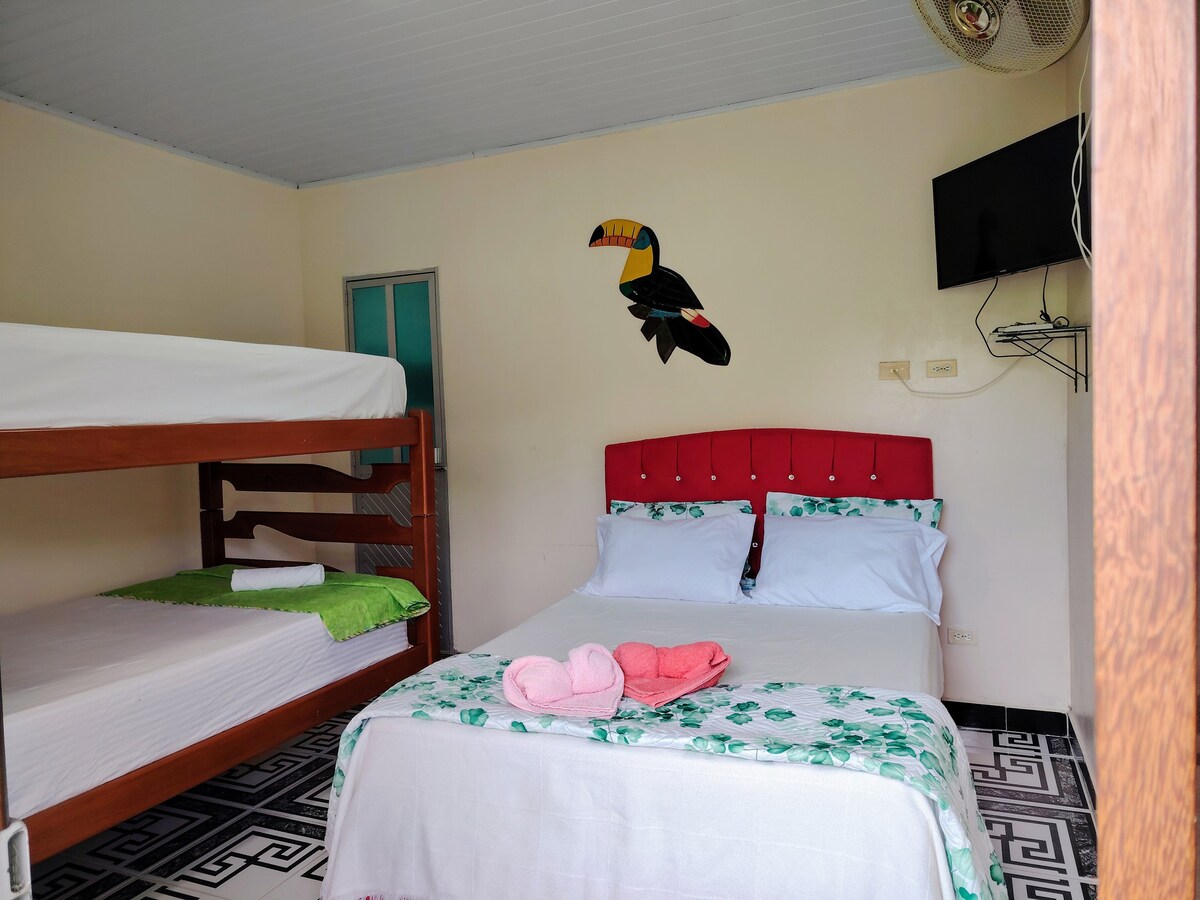 The room features a double bed and a bunk bed, accommodating three guests. A colorful toucan decoration is displayed on the wall. A television is mounted above the double bed, and light flows in from a nearby window, enhancing the airy feel of the space.