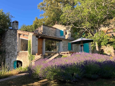 Lacoste charming country house near village 7 bdrm