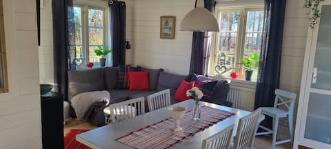 Successful Airbnb property: Small family cottage near Siljan in Leksand