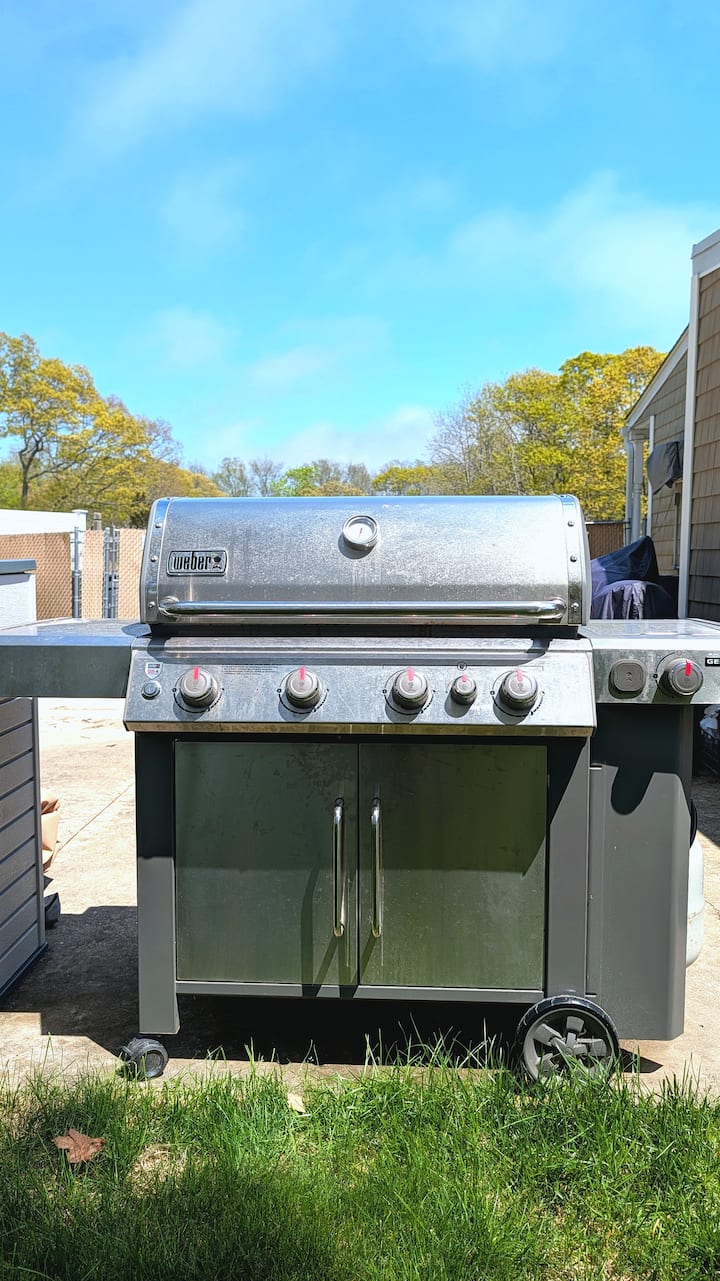 Backyard grill