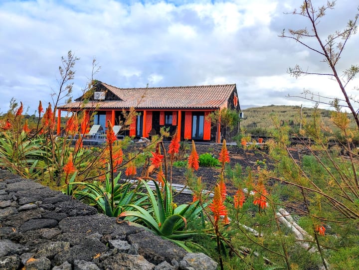 Casa Baleia Laranja Oceanfront