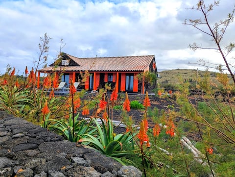 Casa Baleia Laranja Oceanfront