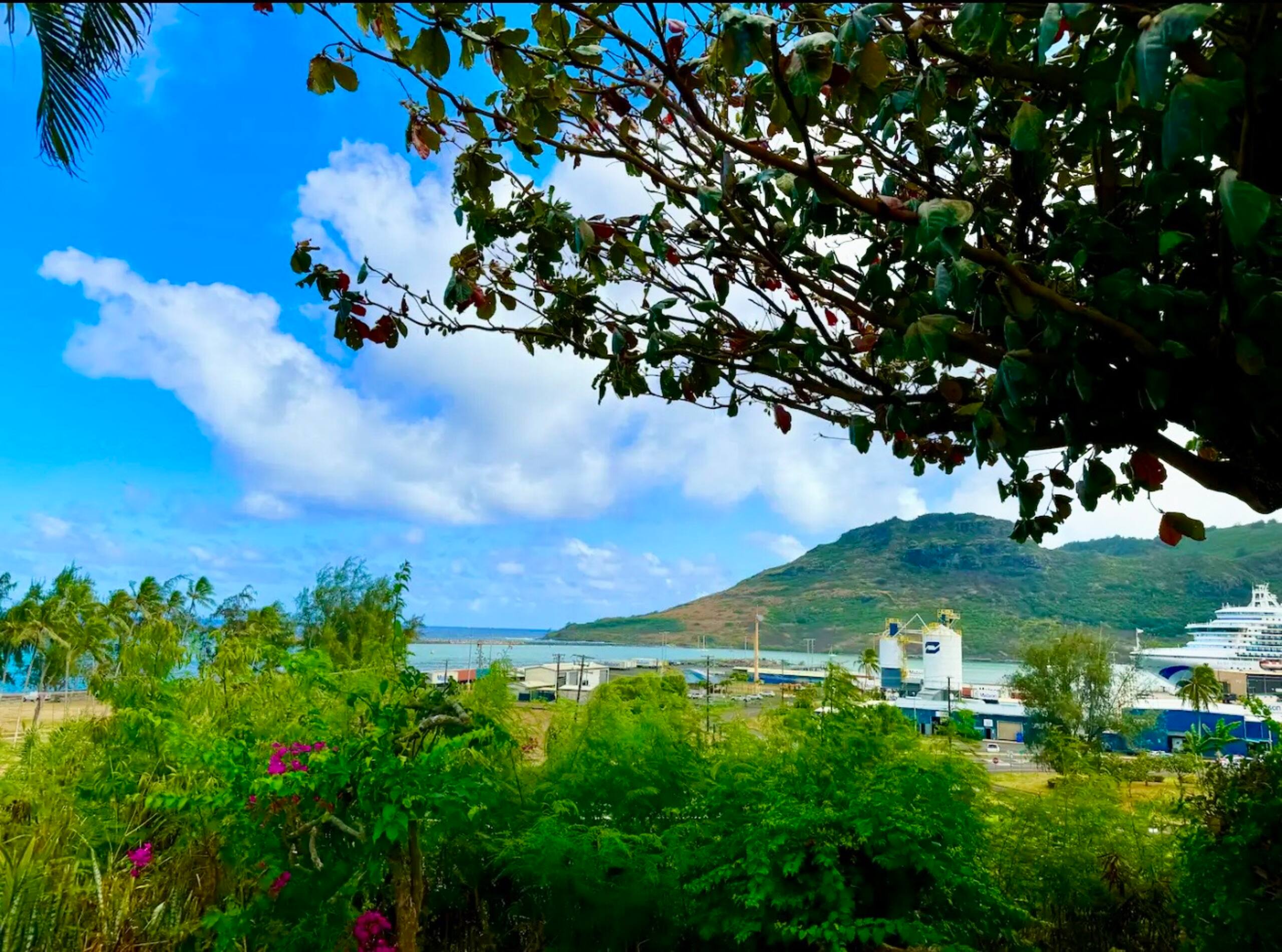 Townhouse in Lihue · ★4.74 · 2 bedrooms · 3 beds · 1.5 private baths - Image 20