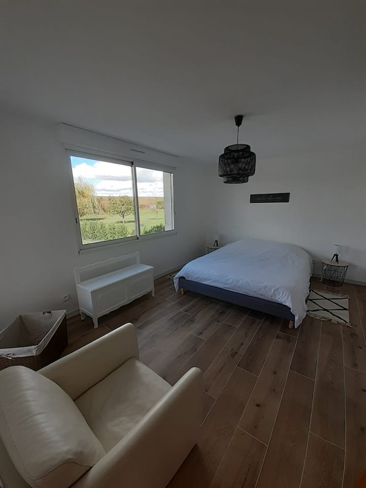 Habitación 1