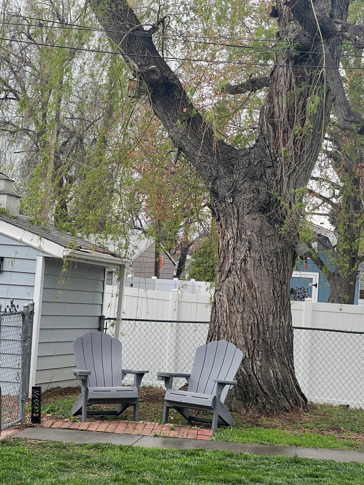 Two gray Adirondack chairs are positioned on a brick path beneath a large tree in the backyard. The tree's trunk is thick, and its branches extend overhead. A white fence encloses the space, adding to the private and inviting ambiance.