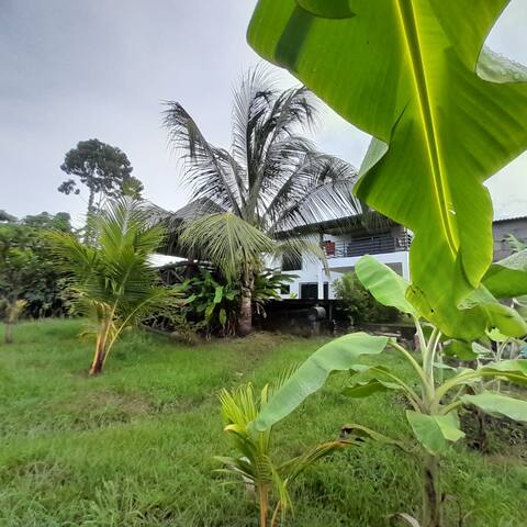 Green Oasis right in the middle of town!
