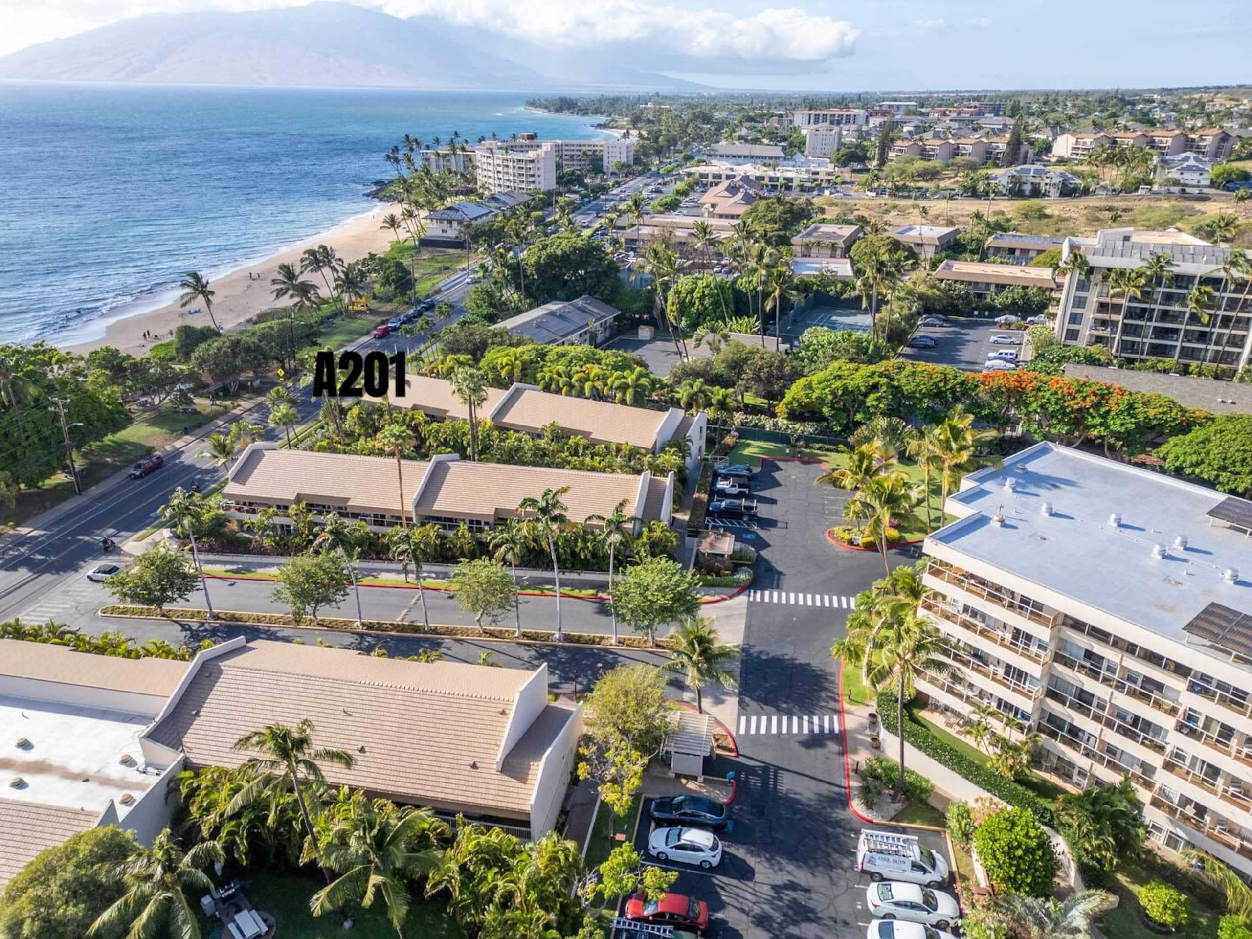 Maui Banyan Closest to the Beach! A201 Kihei - Image 10