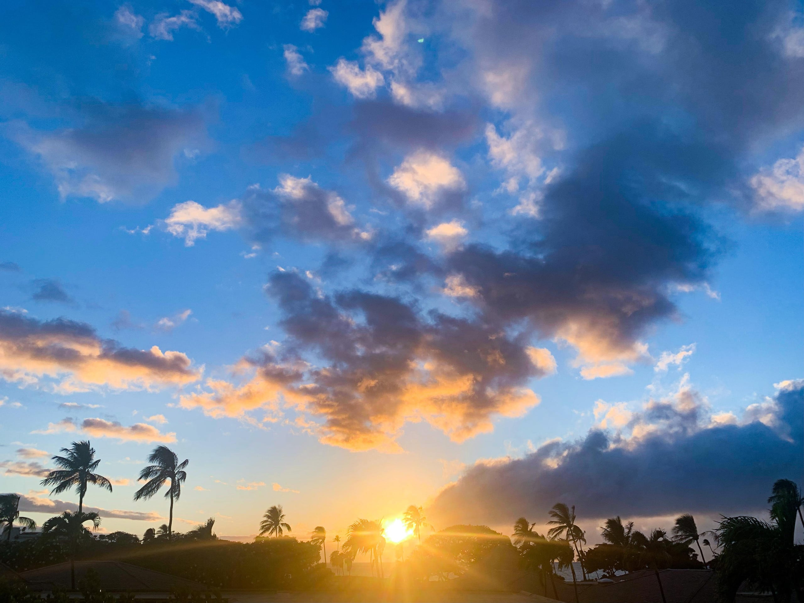 Condo in Lahaina · ★5.0 · 1 bedroom · 2 beds · 2 baths - Image 2
