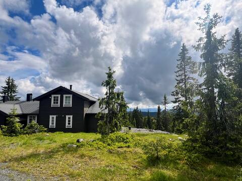 Big family cabin with 10 beds and 2 baths