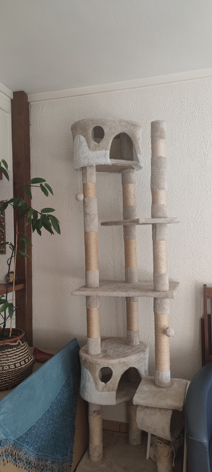 Голямо котешко дърво, полезно, ако идвате с четириног приятел! Нямаме домашни любимци.