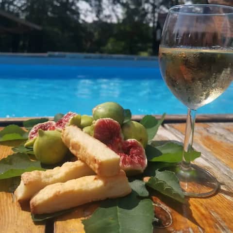 House/Estate for vacation and celebrations