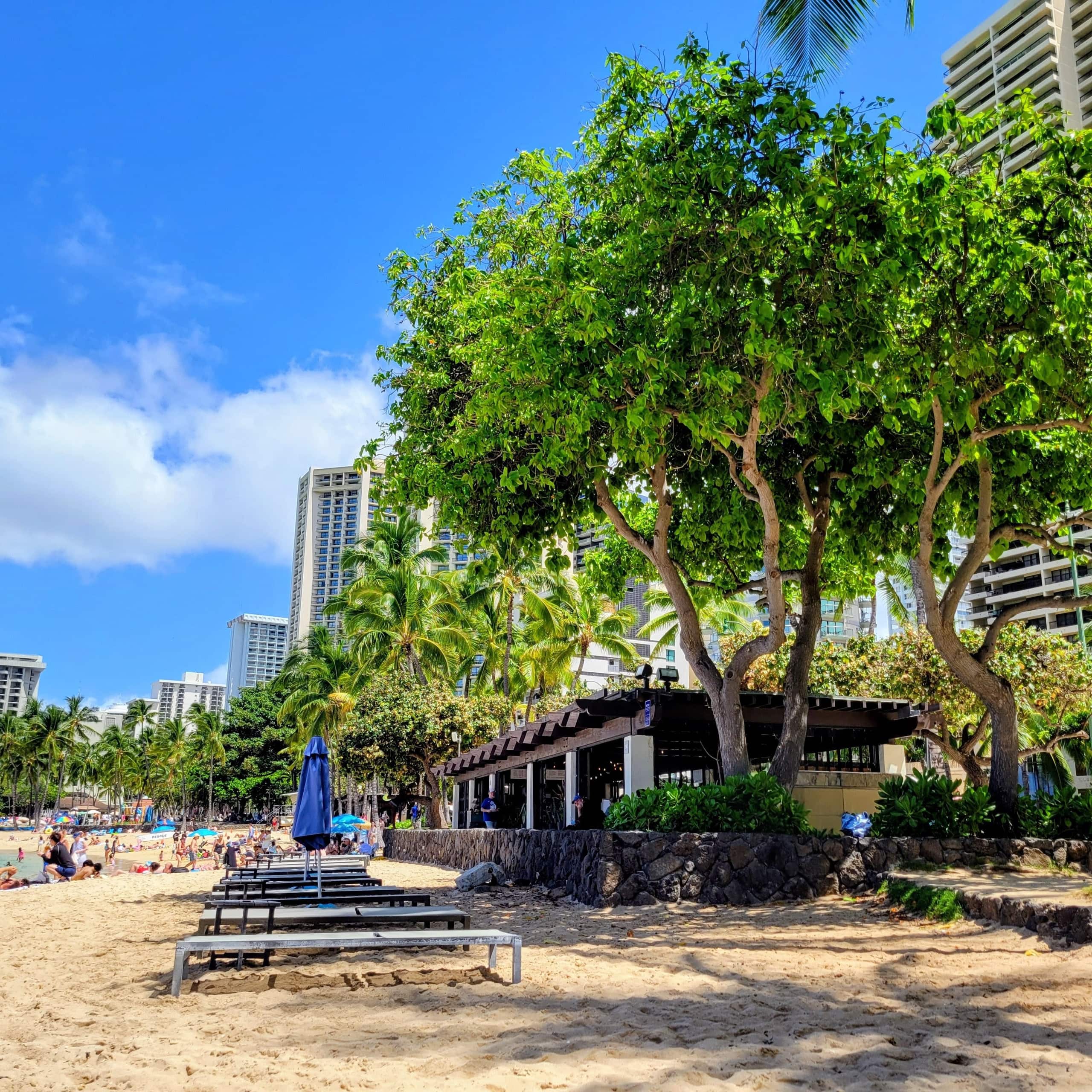 Condo in Honolulu · ★4.72 · 1 bedroom · 3 beds · 1 private bath - Image 10