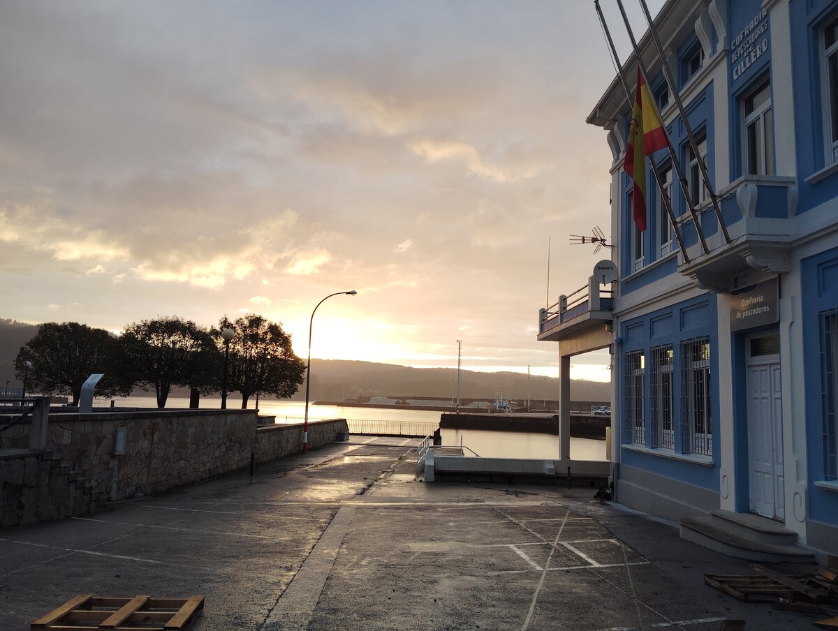 A waterfront scene captures the building with blue accents next to the port. Gentle sunlight casts a warm glow over the parking area, reflecting on the water. Trees can be seen in the distance against a backdrop of a cloudy sky, indicating a tranquil atmosphere.