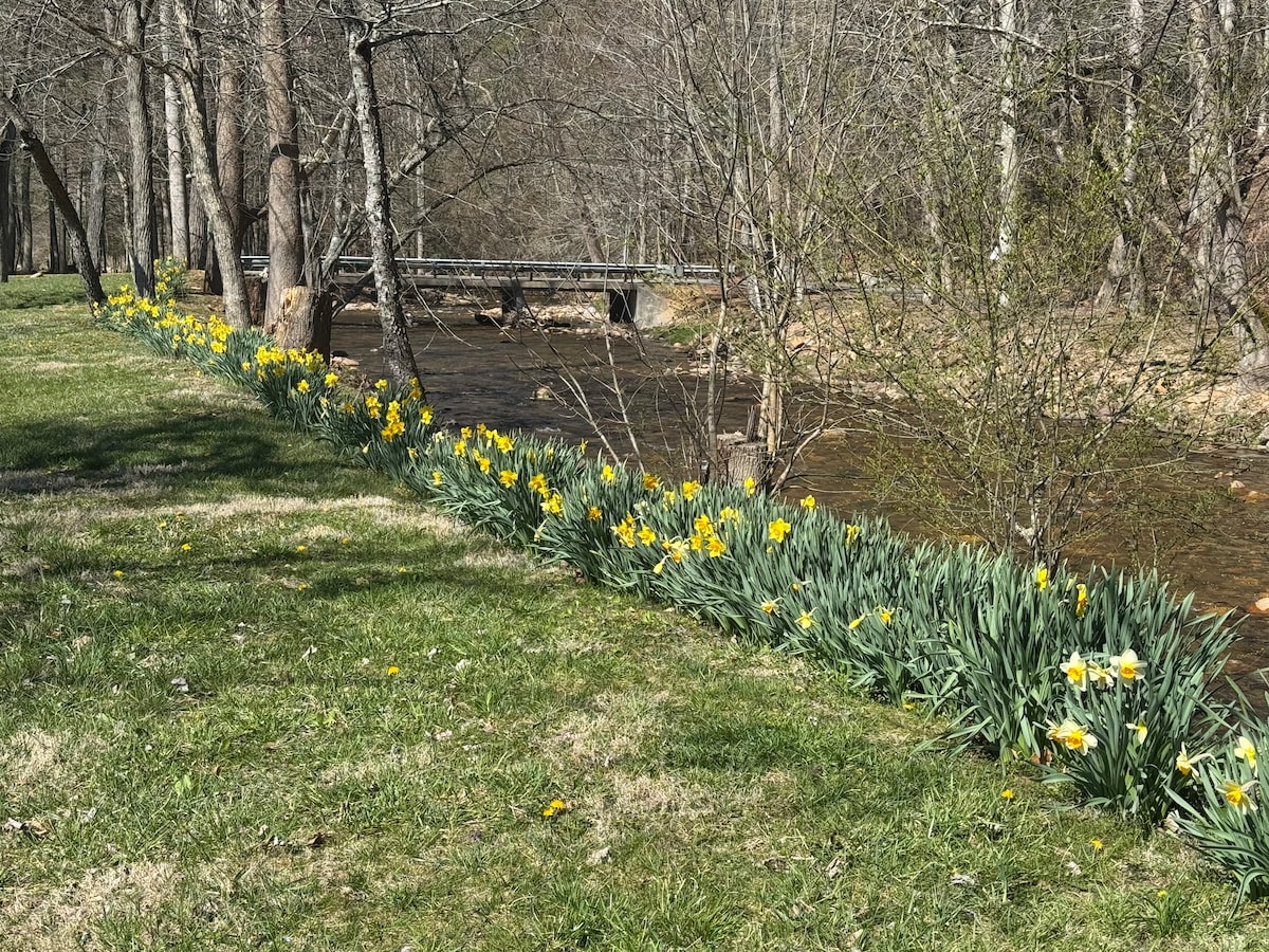 A stretch of vibrant yellow daffodils lines the grassy bank beside a gently flowing creek. In the background, a wooden bridge is visible above the water, surrounded by bare trees. The scene captures the serenity of nature in a tranquil setting.