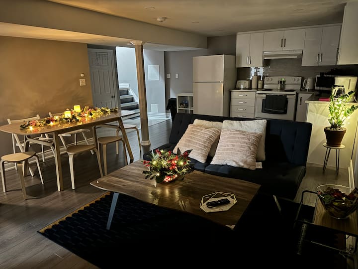 Cozy 2br Bsmt in Hamilton Mountain Houses for Rent in Hamilton