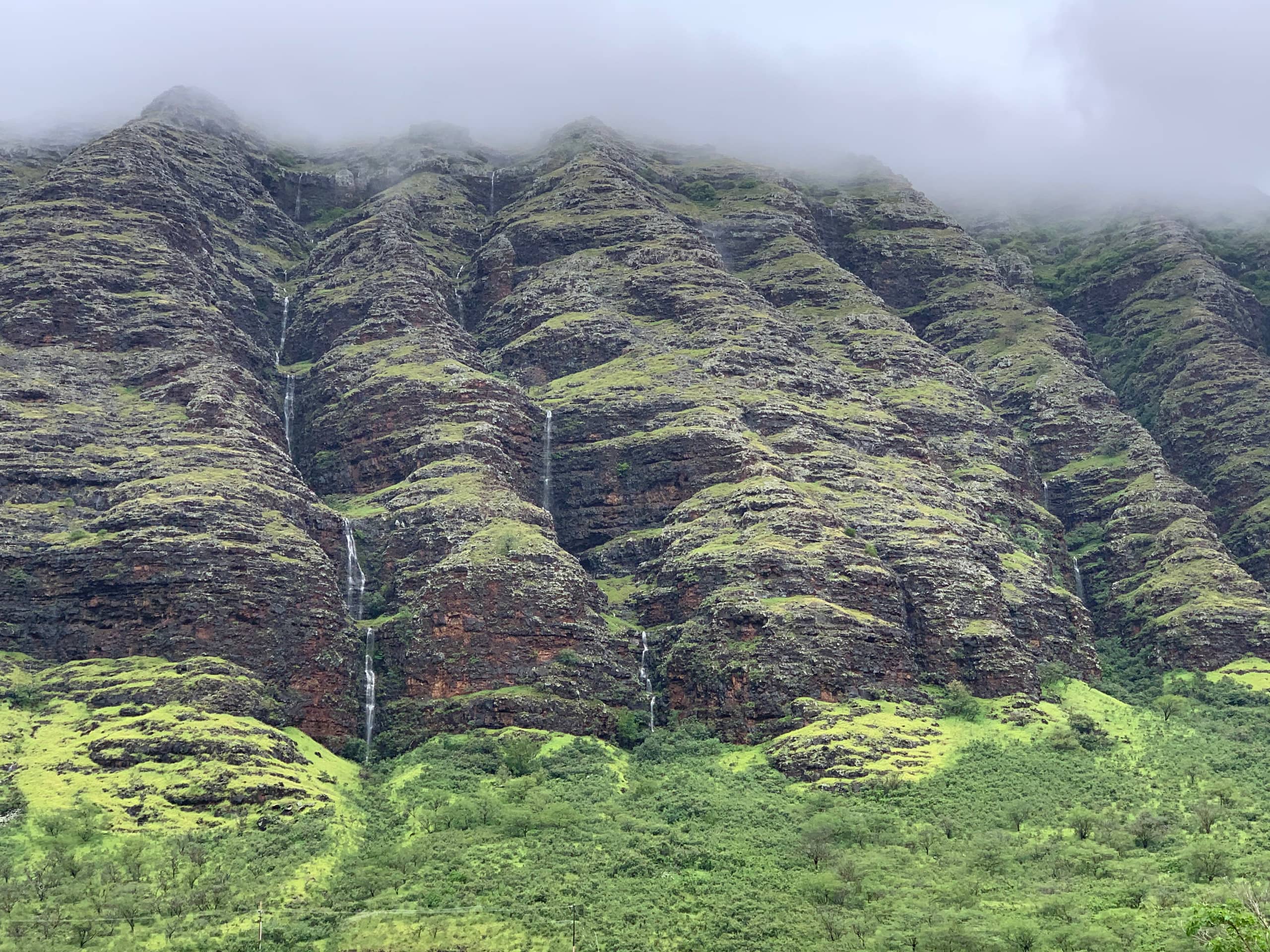 Guesthouse in Waianae · ★4.93 · Studio · 1 bed · 1 private bath - Image 61