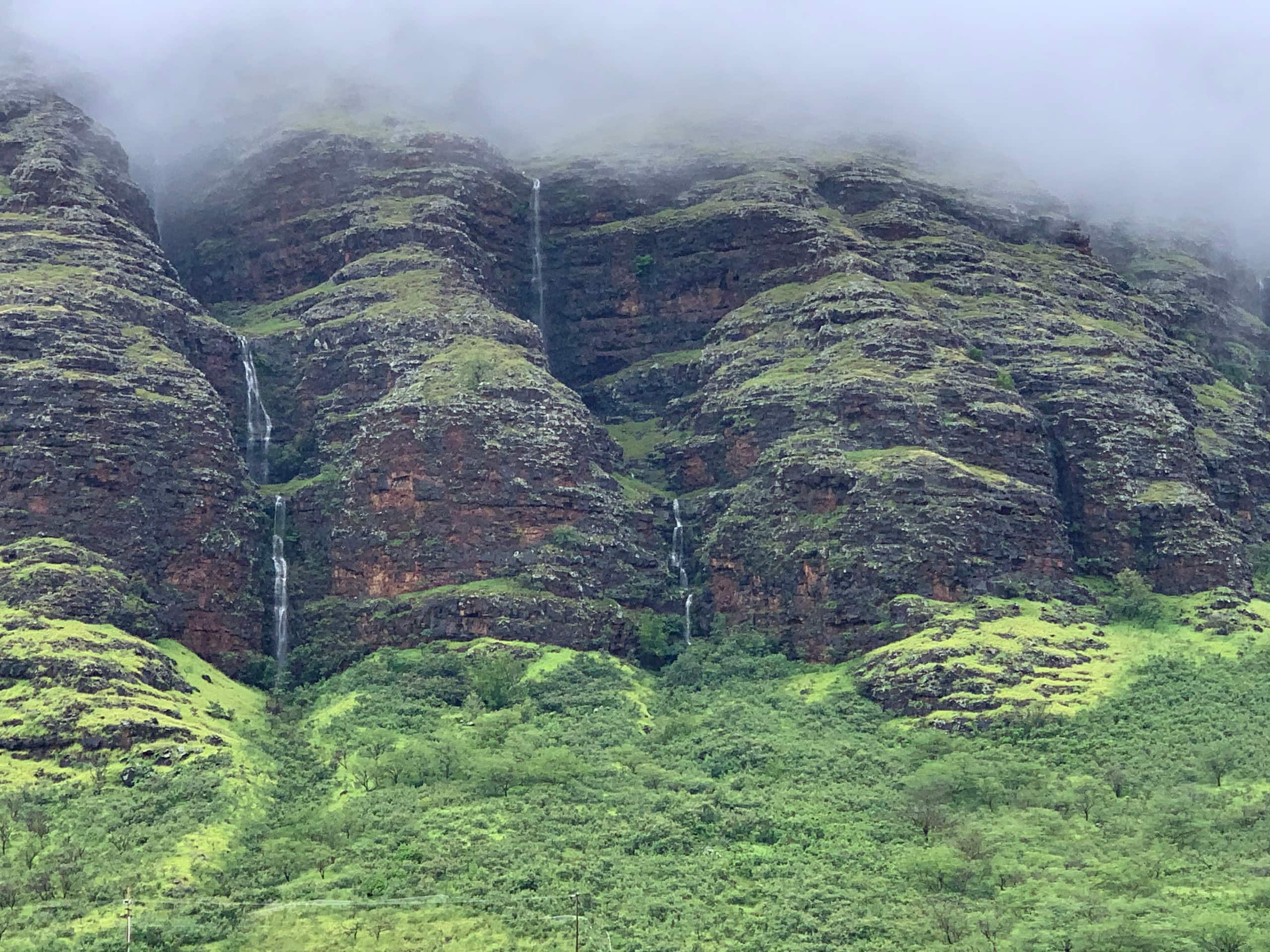 Guesthouse in Waianae · ★4.93 · Studio · 1 bed · 1 private bath - Image 63
