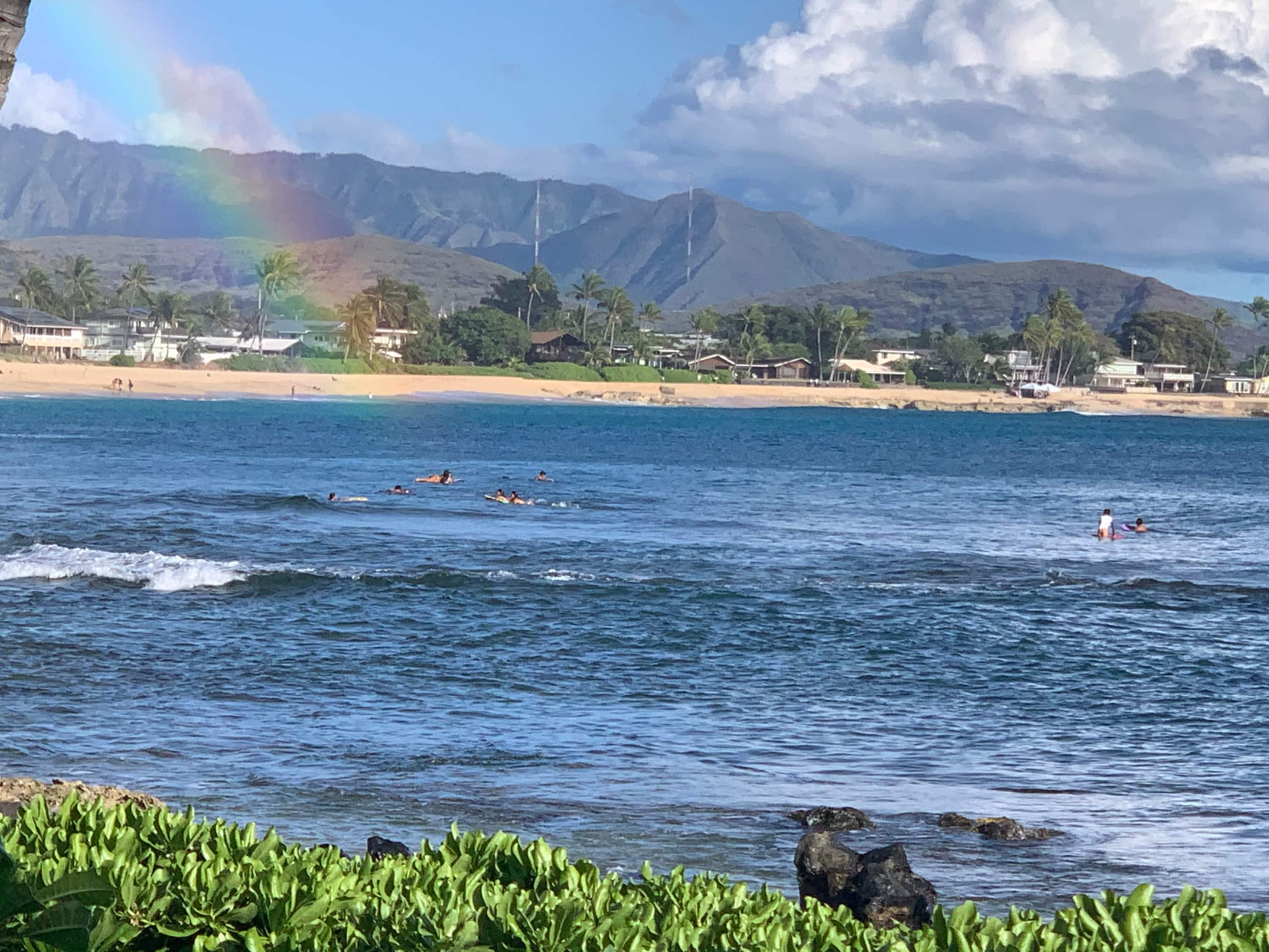 Guesthouse in Waianae · ★4.93 · Studio · 1 bed · 1 private bath - Image 58