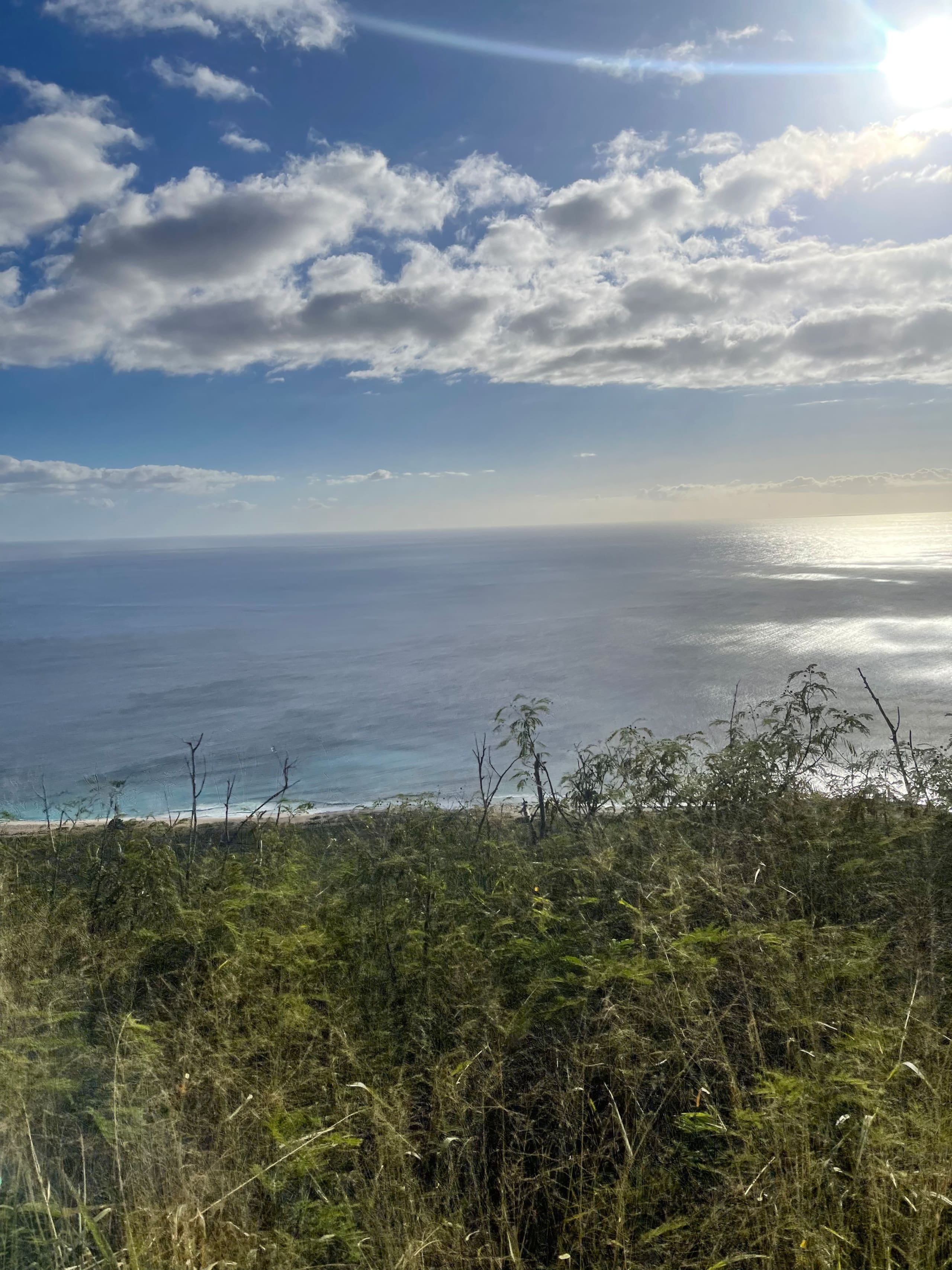 Guesthouse in Waianae · ★4.93 · Studio · 1 bed · 1 private bath - Image 51