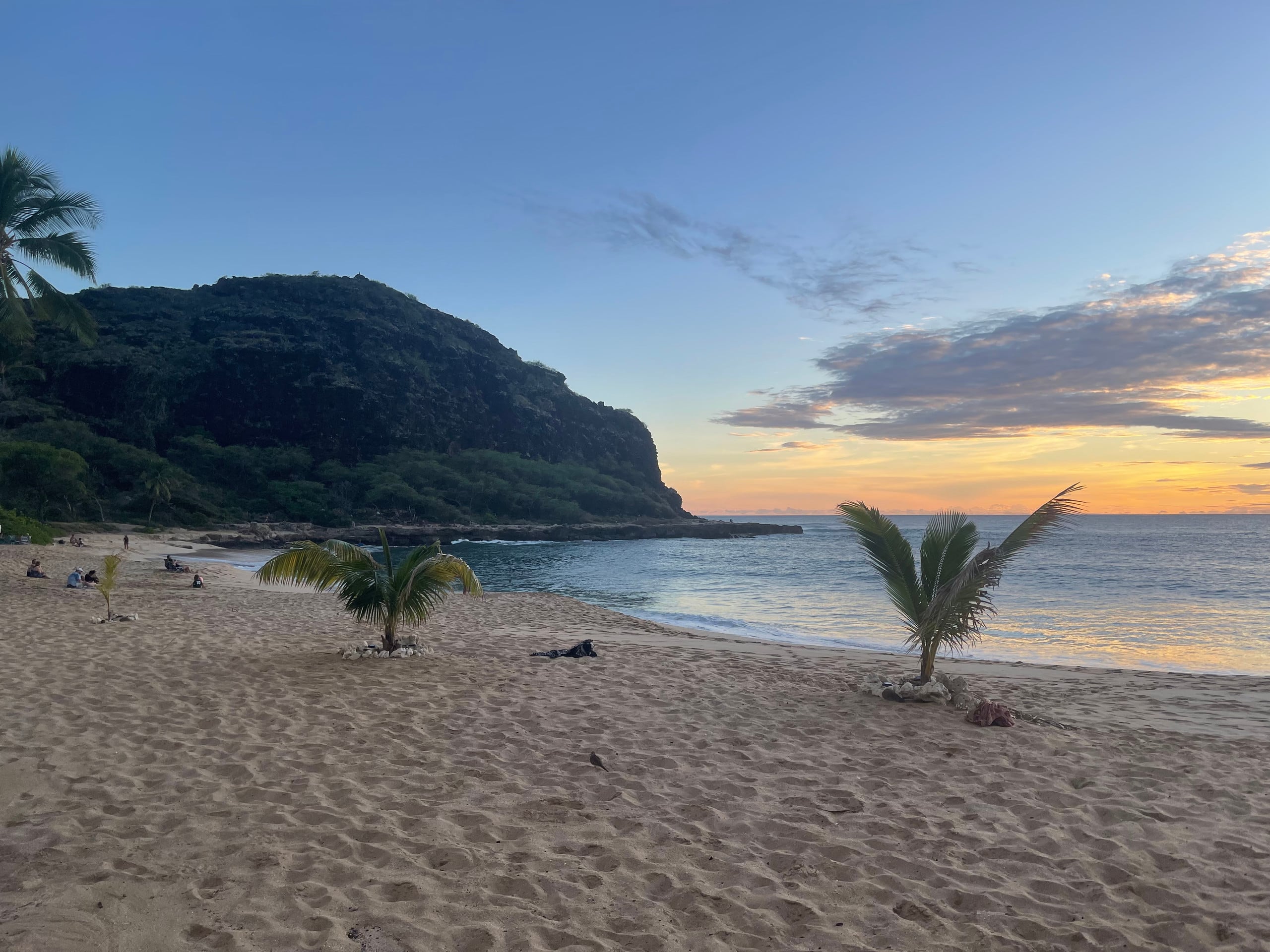 Guesthouse in Waianae · ★4.93 · Studio · 1 bed · 1 private bath - Image 46