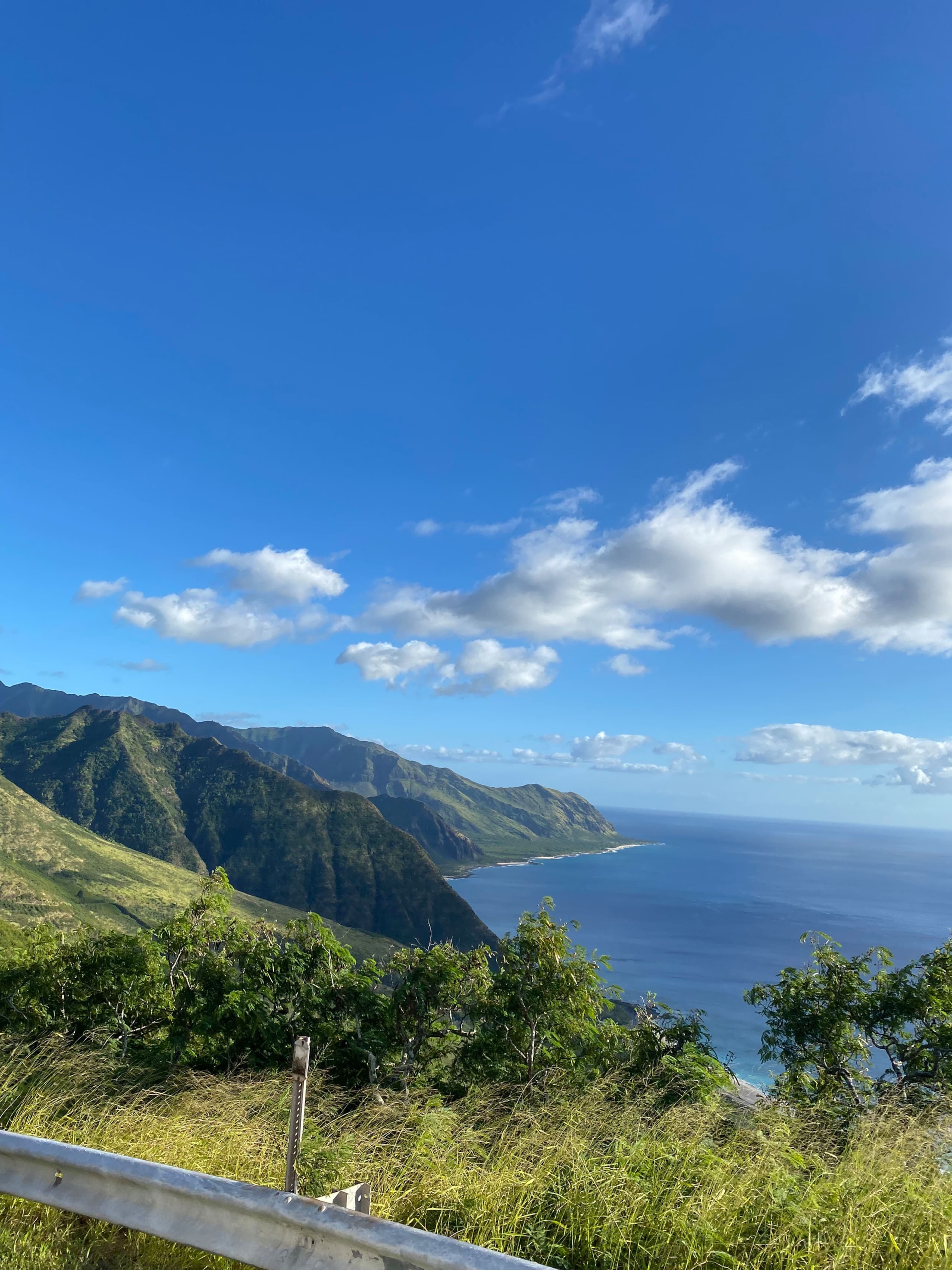 Guesthouse in Waianae · ★4.93 · Studio · 1 bed · 1 private bath - Image 52