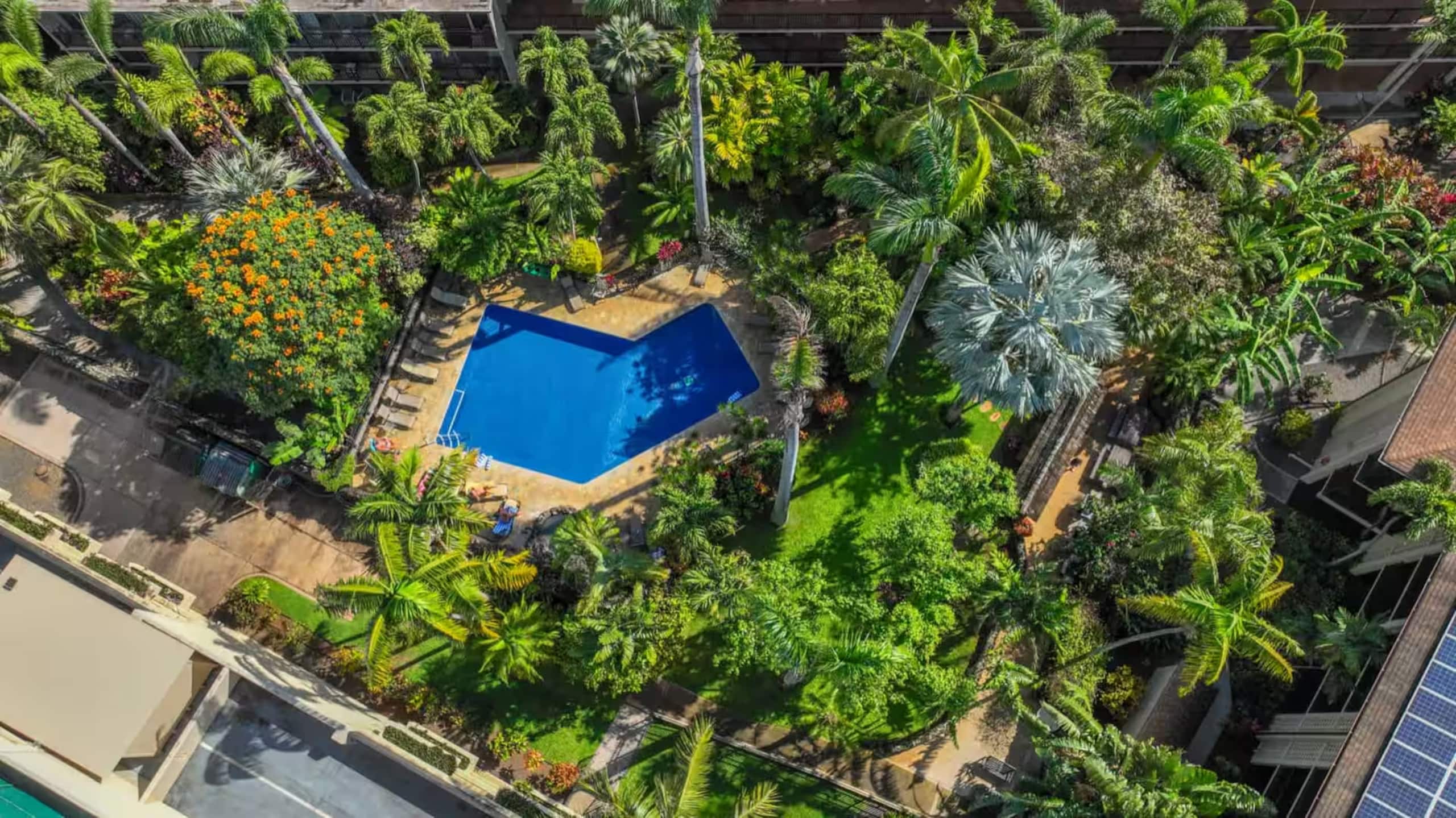 Tropical Oceanside Oasis - Photo 54