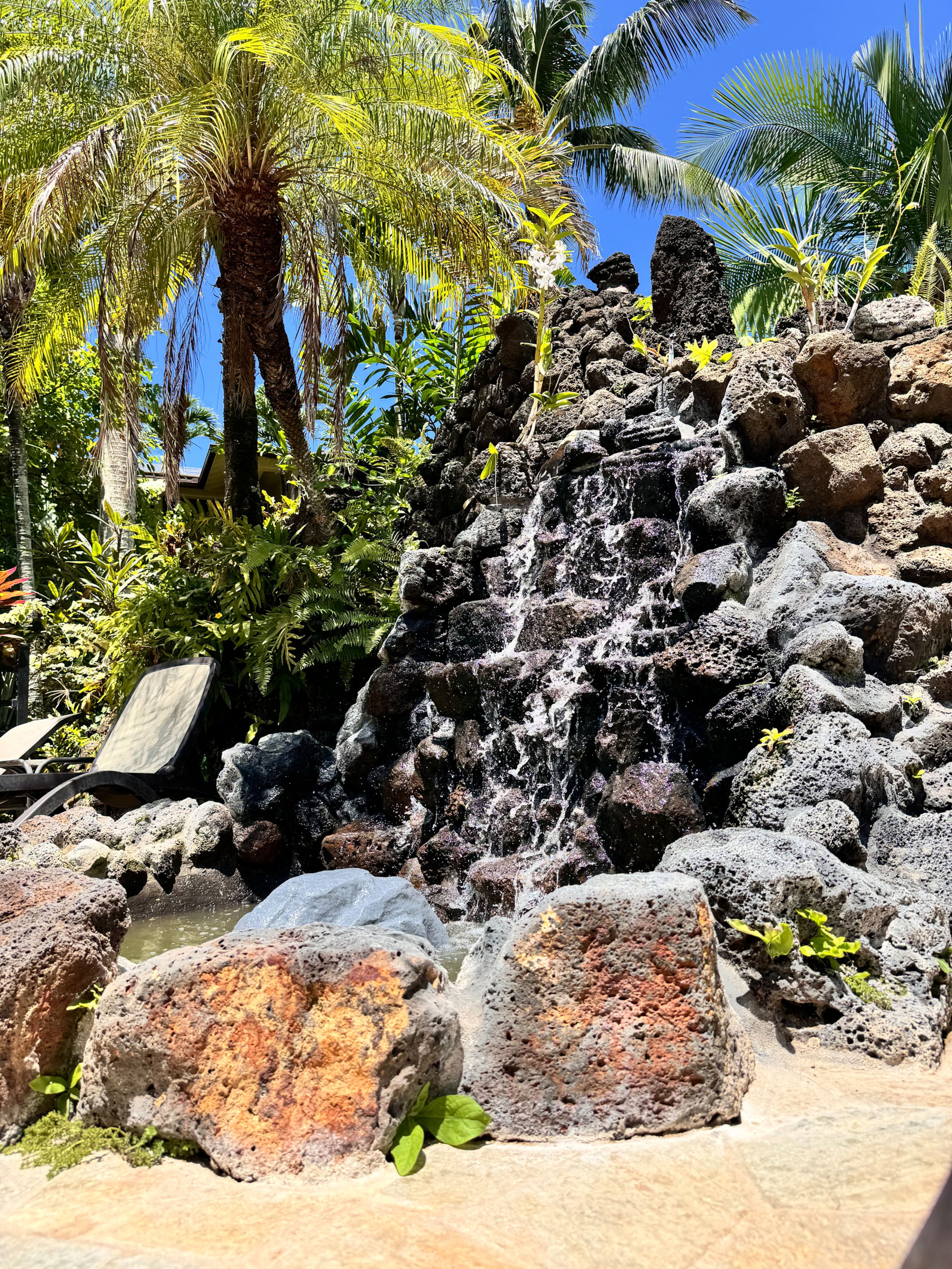 Tropical Oceanside Oasis - Photo 53