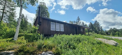 Top Airbnb: 521. Cozy cottage in the city center. View. Internet in Åseral