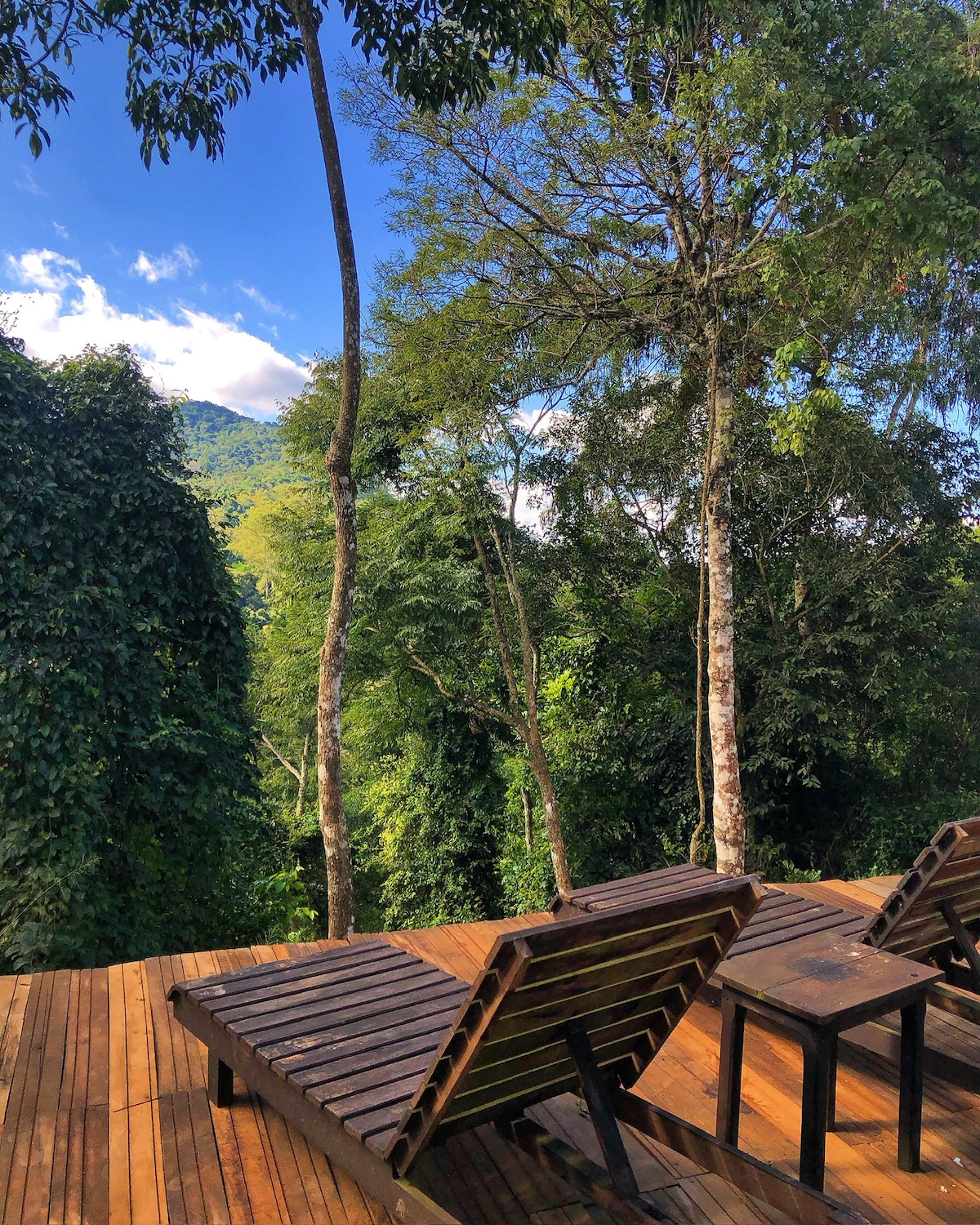 A wooden deck is set amidst lush greenery, featuring comfortable loungers aimed toward an expansive view of the surrounding trees and mountains. The clear blue sky adds a bright contrast to the rich foliage, inviting relaxation in a serene natural environment.