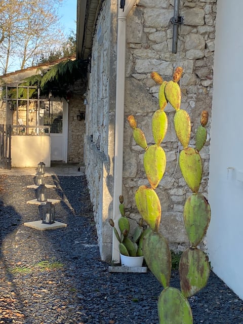 House with shared pool, sauna and jacuzzi area