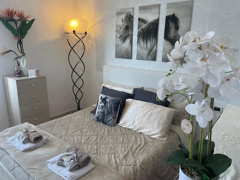 Country Chic House tra Livorno e Pisa. Tuscany