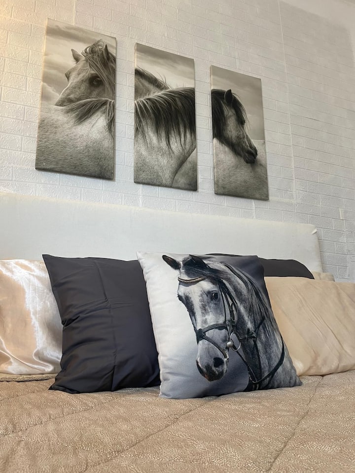 Chambre 1
