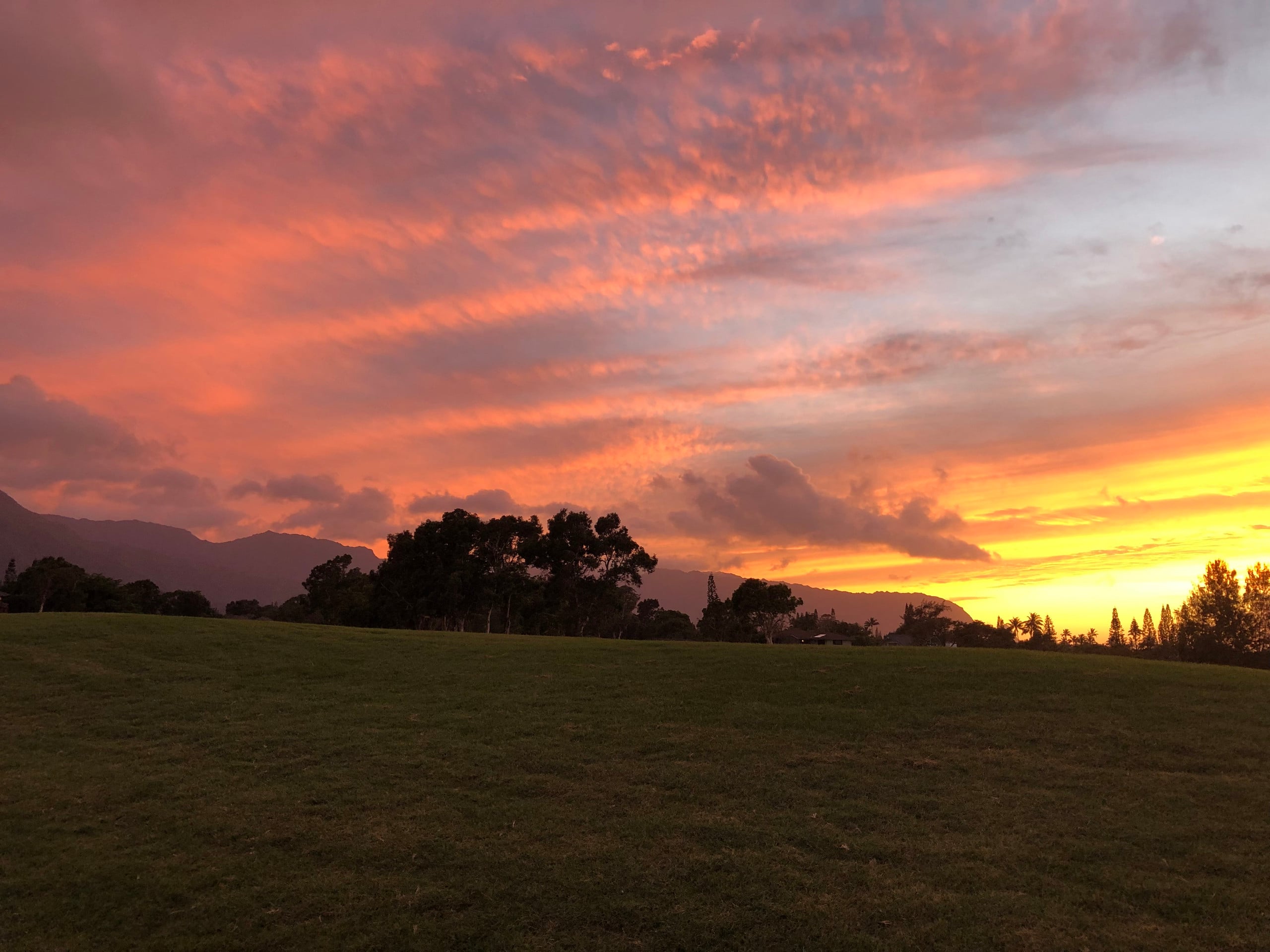 Ocean and Sunset View on Makai Golf Course - Photo 34