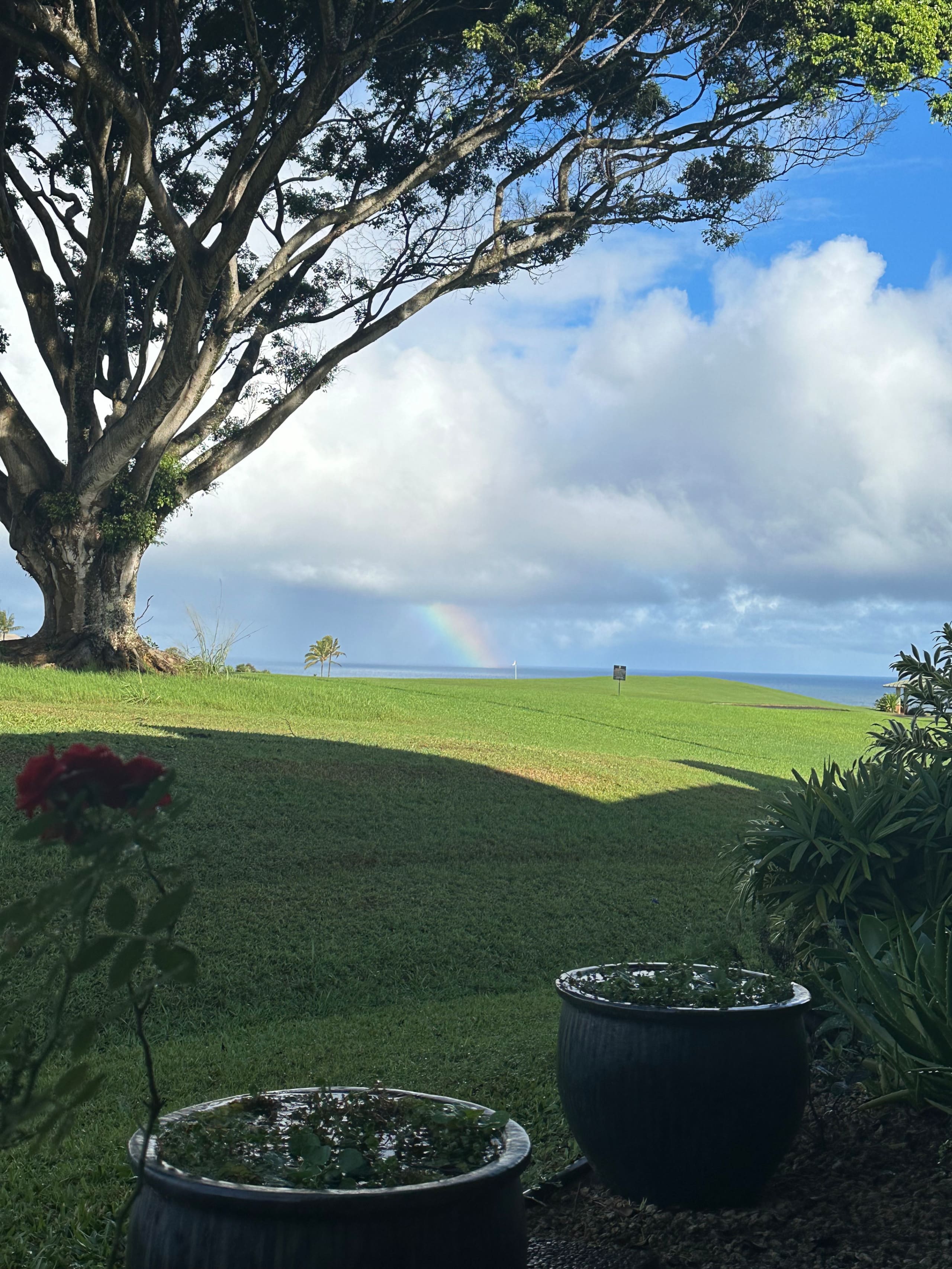 Ocean and Sunset View on Makai Golf Course - Photo 23