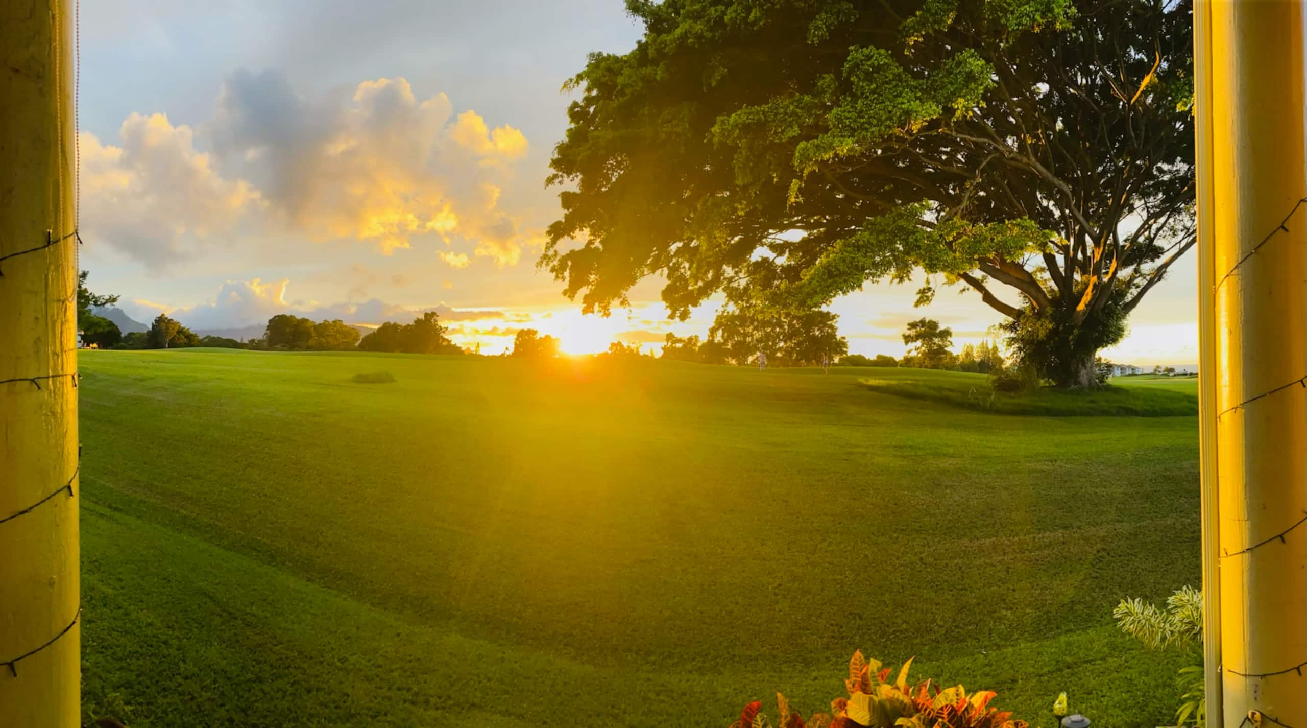 Ocean and Sunset View on Makai Golf Course - Photo 26