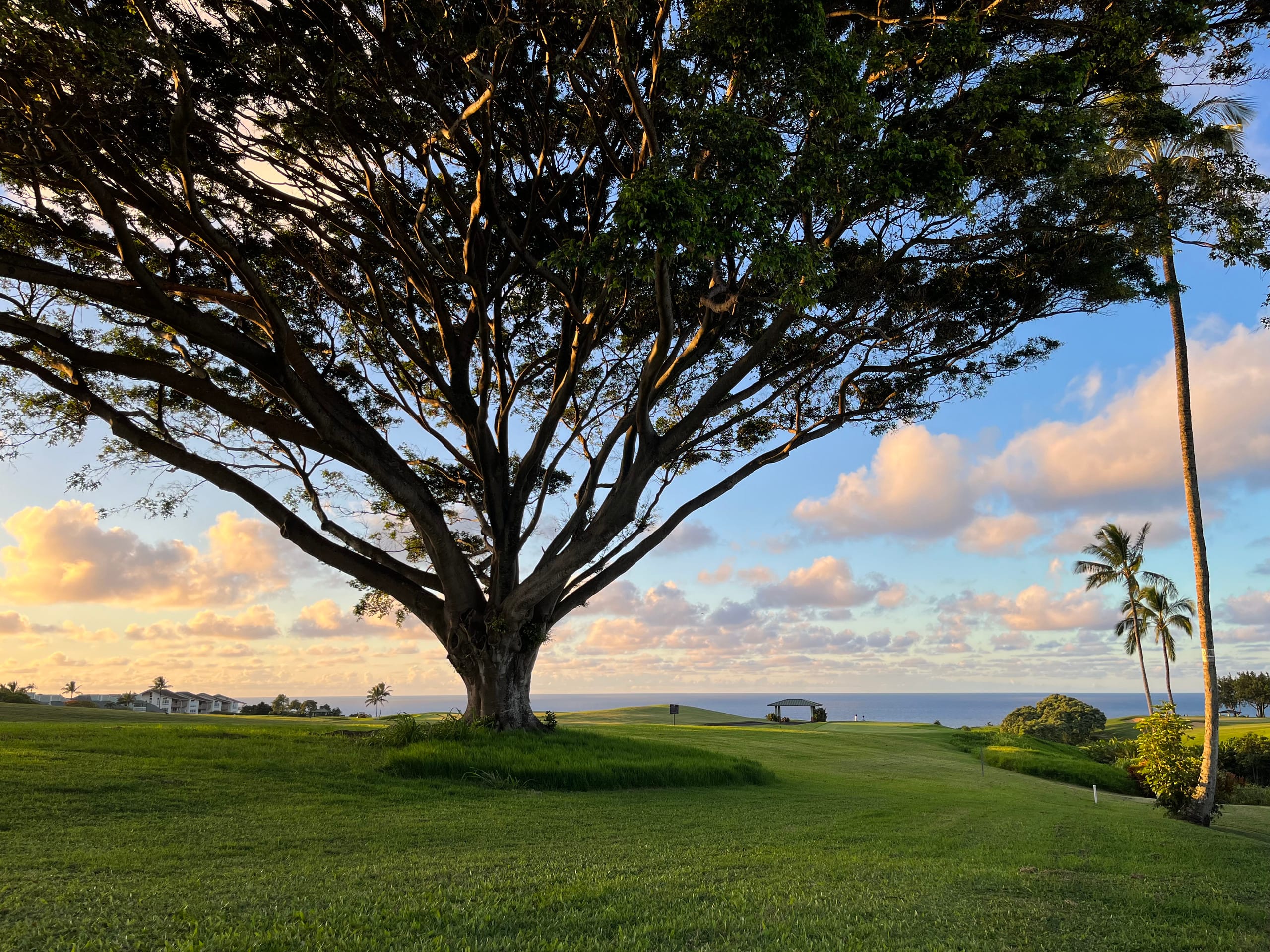 Ocean and Sunset View on Makai Golf Course - Main photo