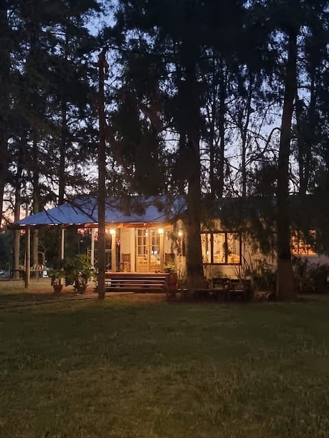 House in the Delta
Over the River
San Antonio
Tigre