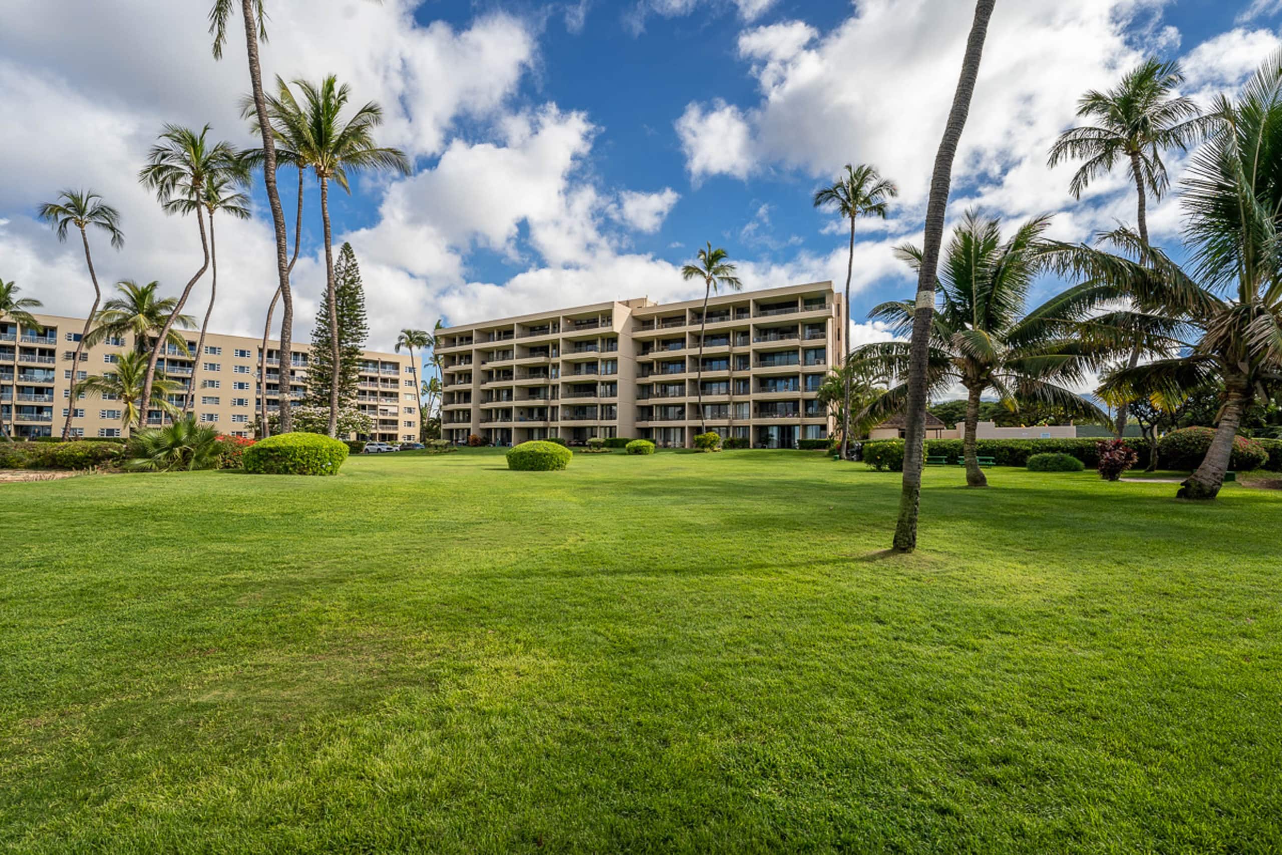 Condo in Kihei · ★4.38 · 1 bedroom · 1 bed · 1 bath - Image 26