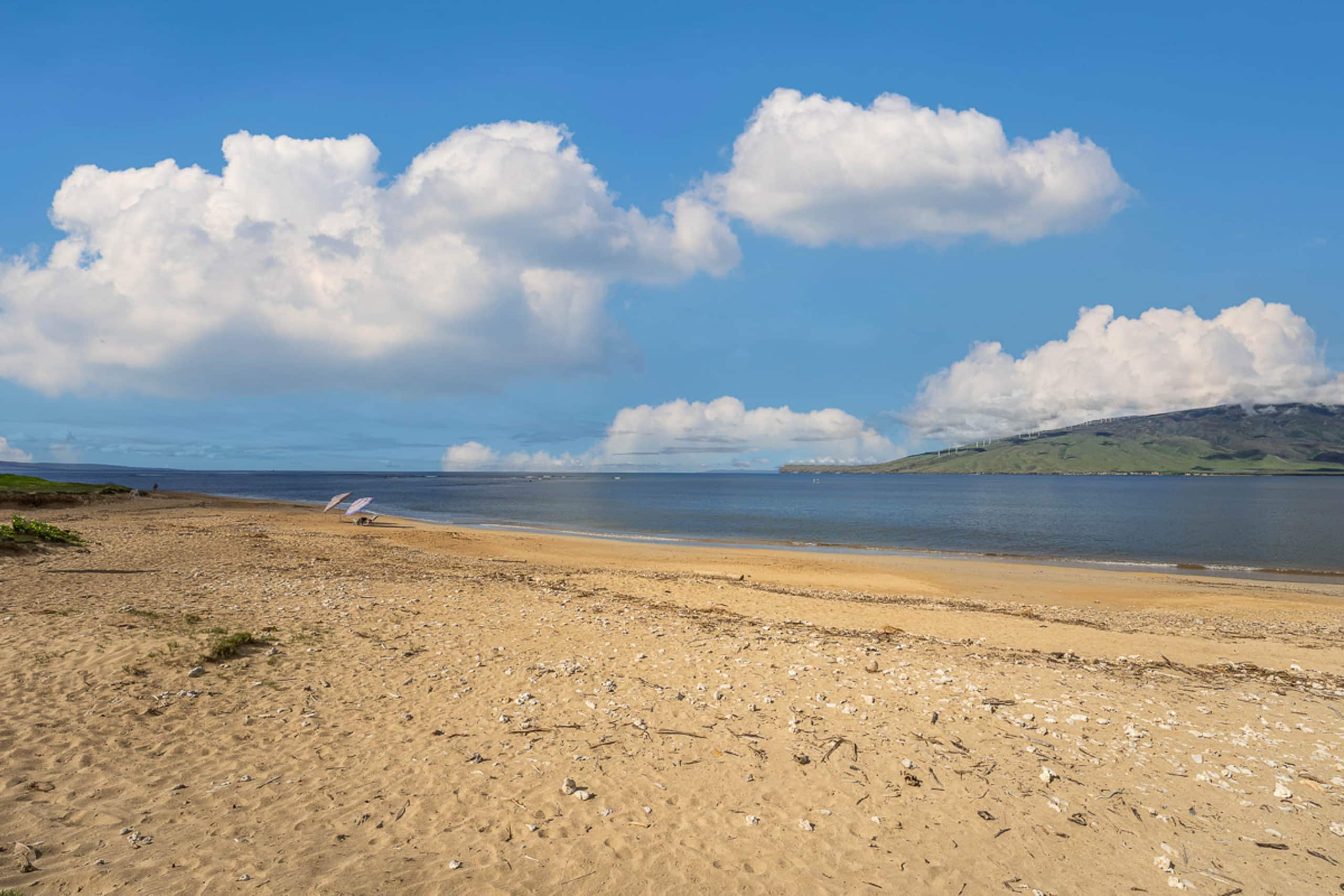 Condo in Kihei · ★4.38 · 1 bedroom · 1 bed · 1 bath - Image 21