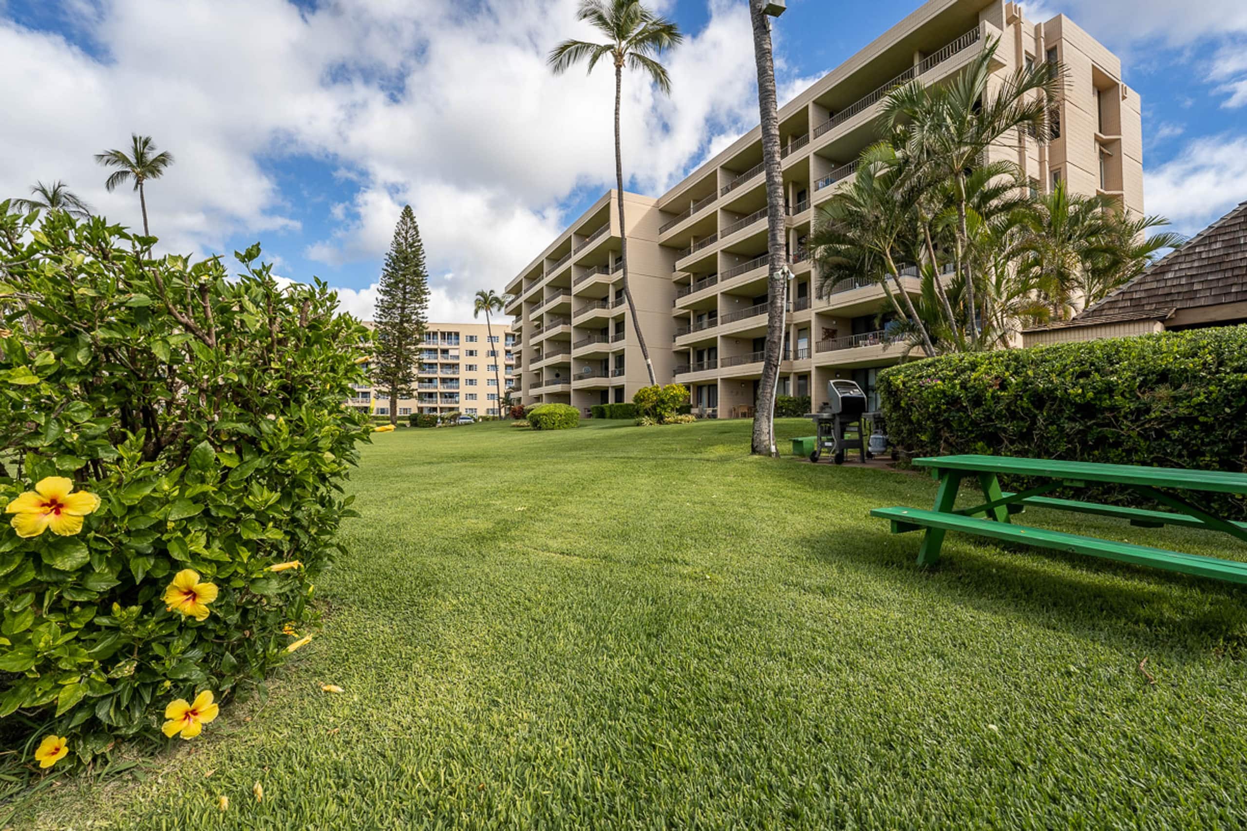 Condo in Kihei · ★4.38 · 1 bedroom · 1 bed · 1 bath - Image 23
