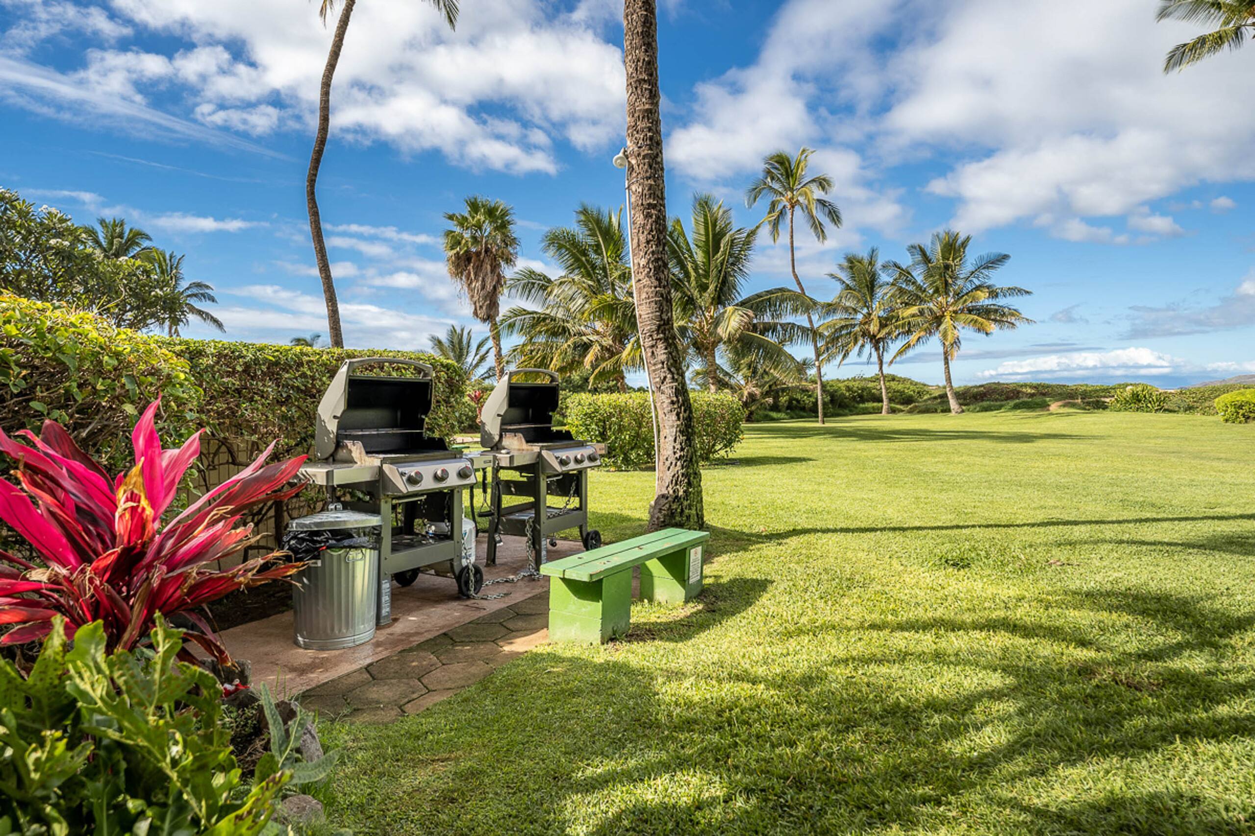 Condo in Kihei · ★4.38 · 1 bedroom · 1 bed · 1 bath - Image 25