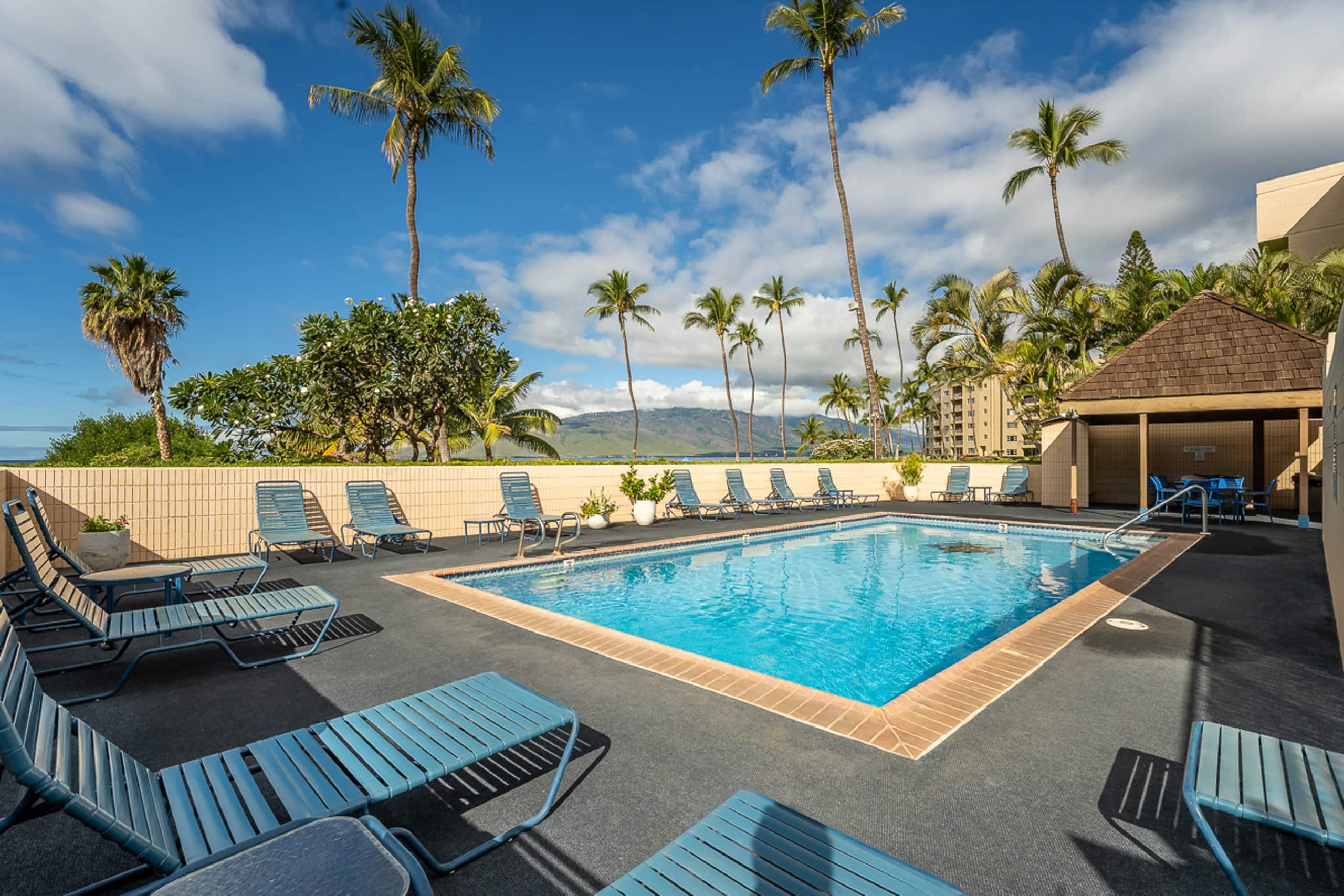 Condo in Kihei · ★4.38 · 1 bedroom · 1 bed · 1 bath - Image 18
