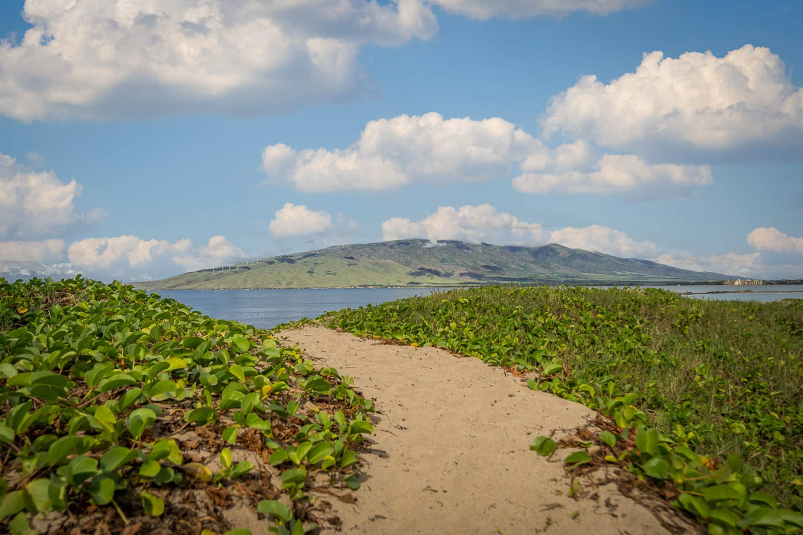 Condo in Kihei · ★4.38 · 1 bedroom · 1 bed · 1 bath - Image 24